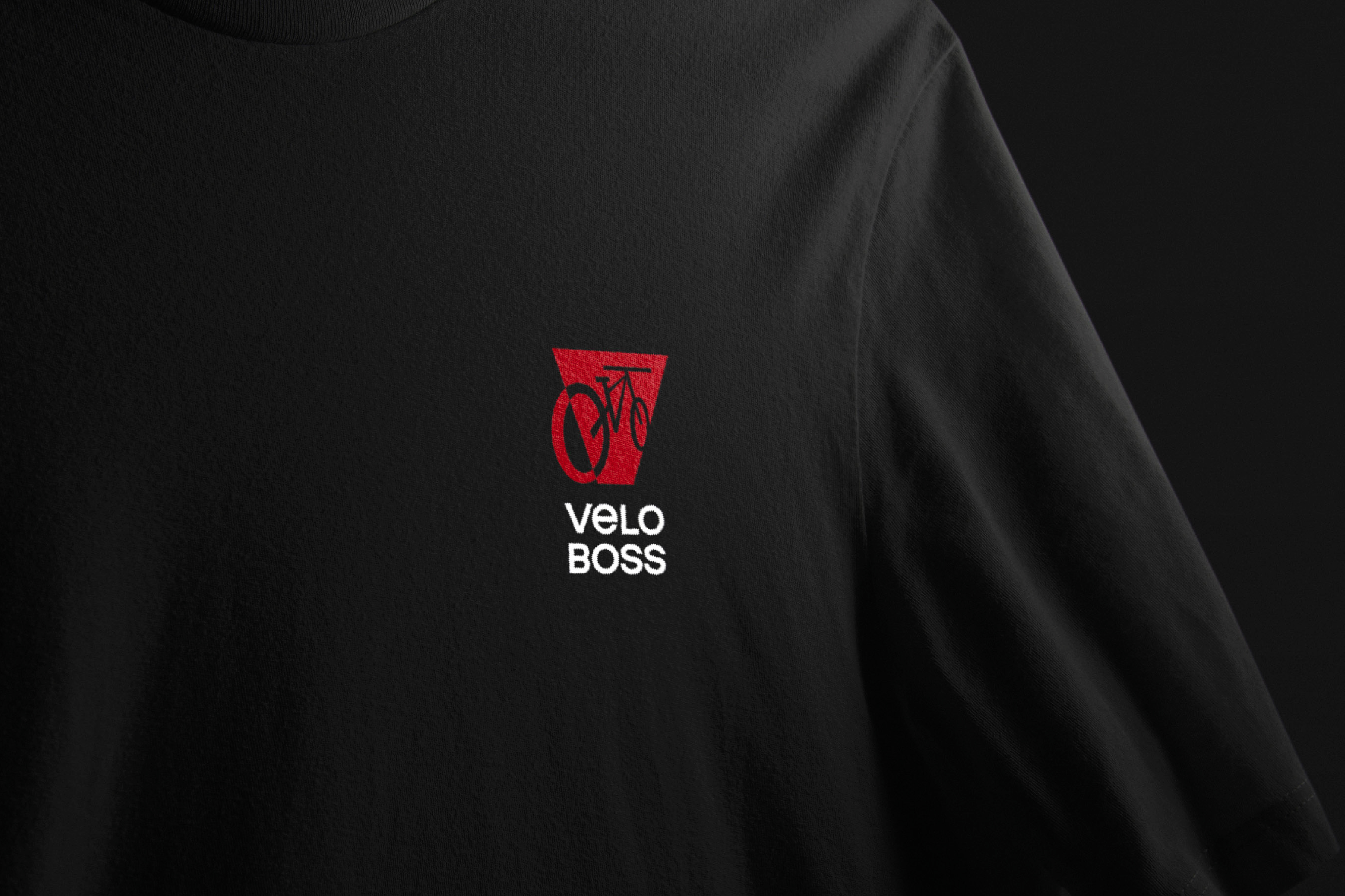 VeloBoss - Brand Identity — Изображение №10 — Брендинг, Графика на Dprofile