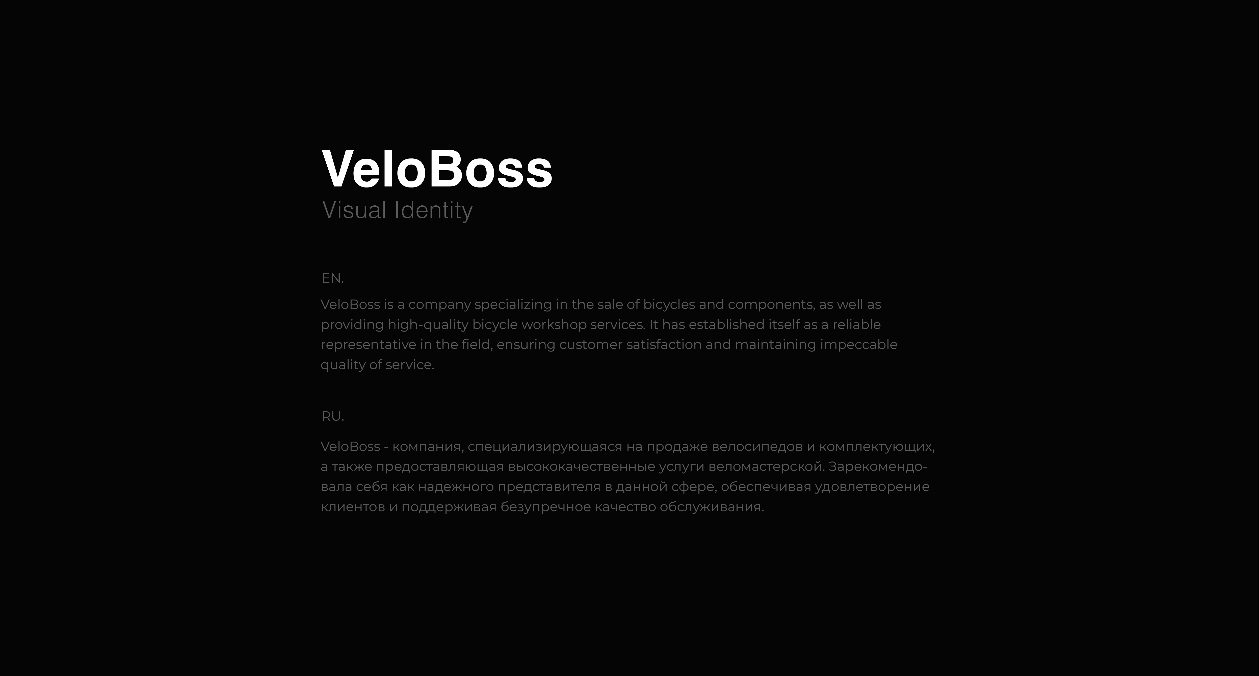 VeloBoss - Brand Identity — Изображение №2 — Брендинг, Графика на Dprofile