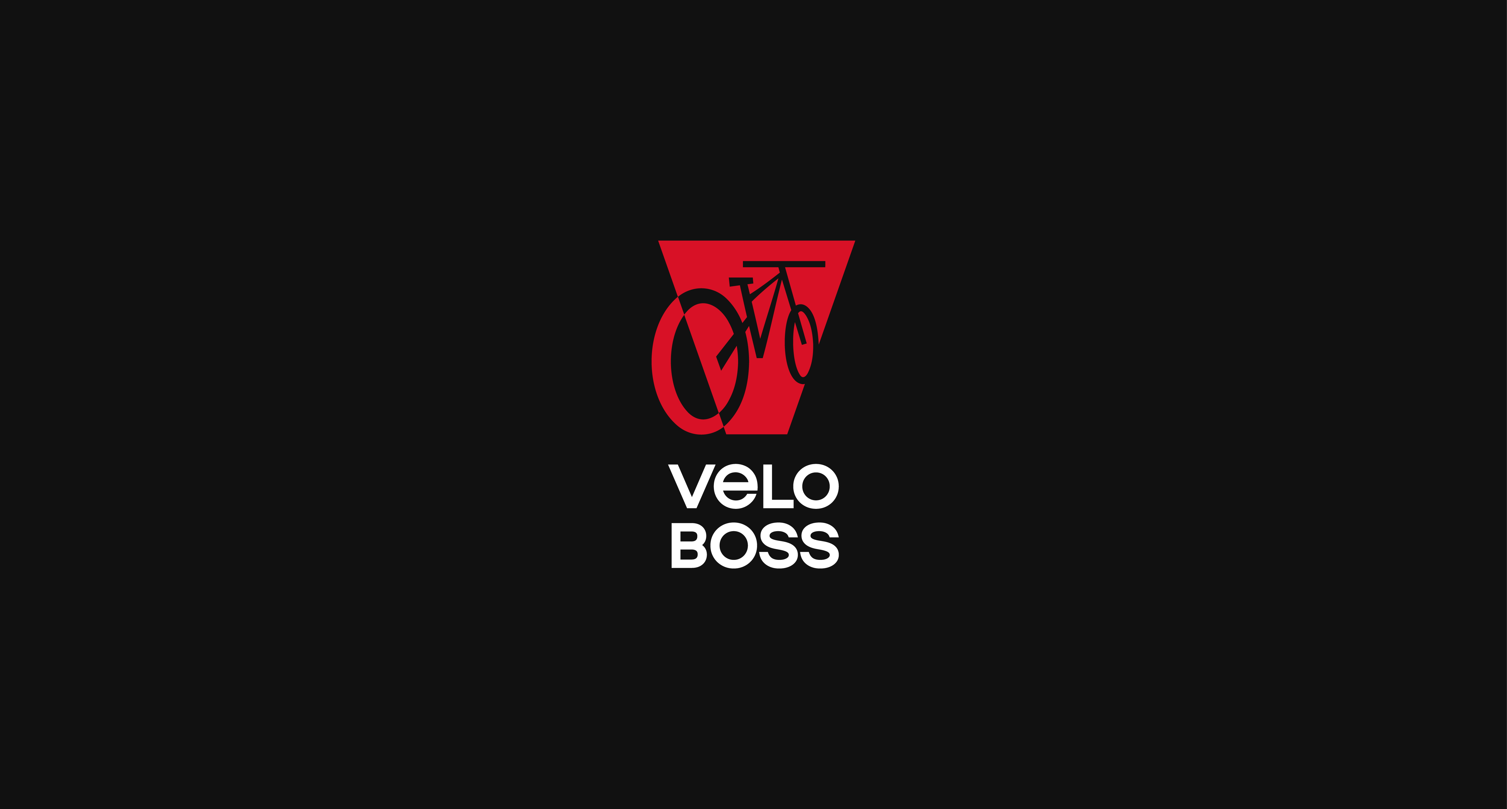VeloBoss - Brand Identity — Изображение №5 — Брендинг, Графика на Dprofile