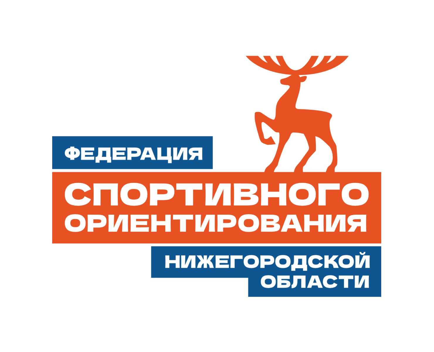Федерация спортивного ориентирования — Интерфейсы, Брендинг на Dprofile