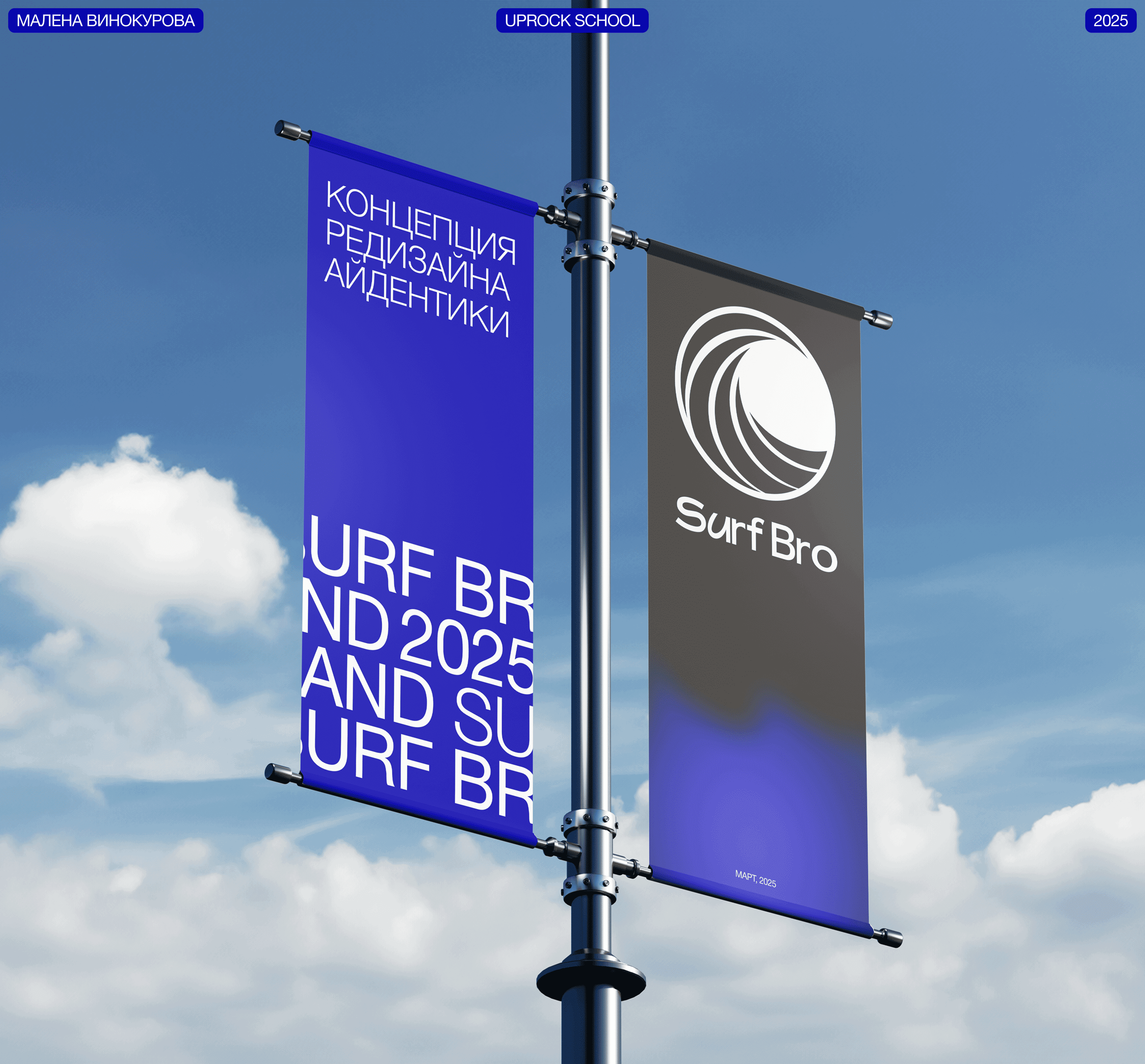 Surf Bro identity redesign concept — Изображение №1 — Брендинг на Dprofile