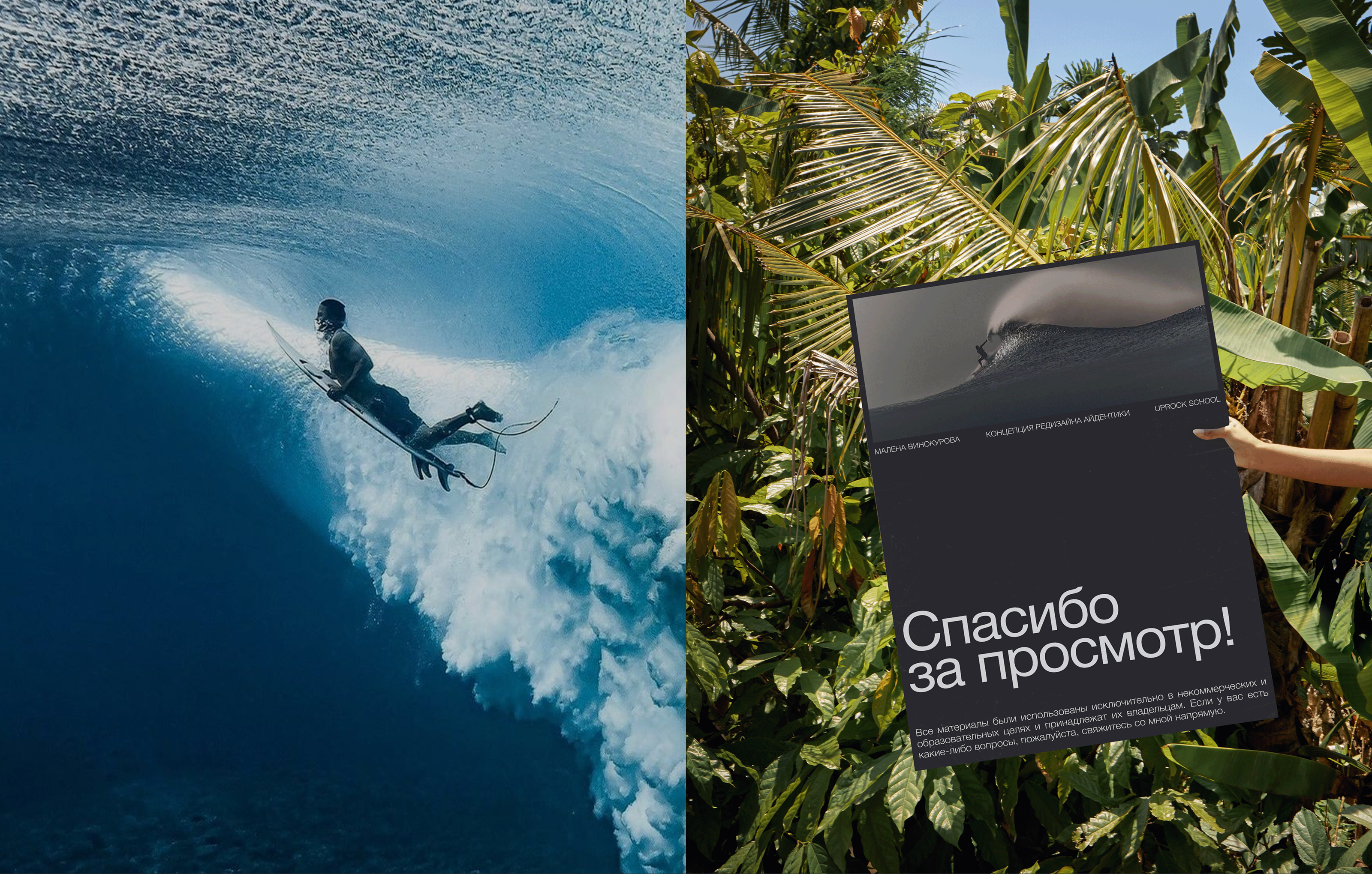 Surf Bro identity redesign concept — Изображение №23 — Брендинг на Dprofile