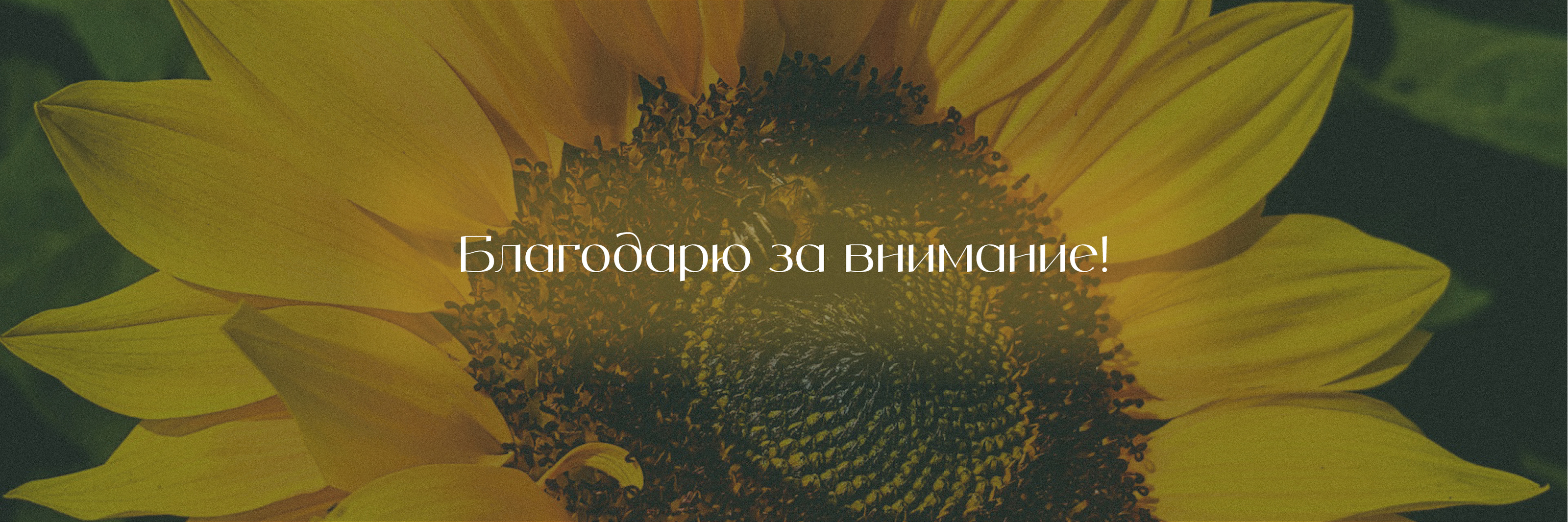 Фирменный стиль для студии красоты Светлая — Изображение №15 — Брендинг, Графика на Dprofile