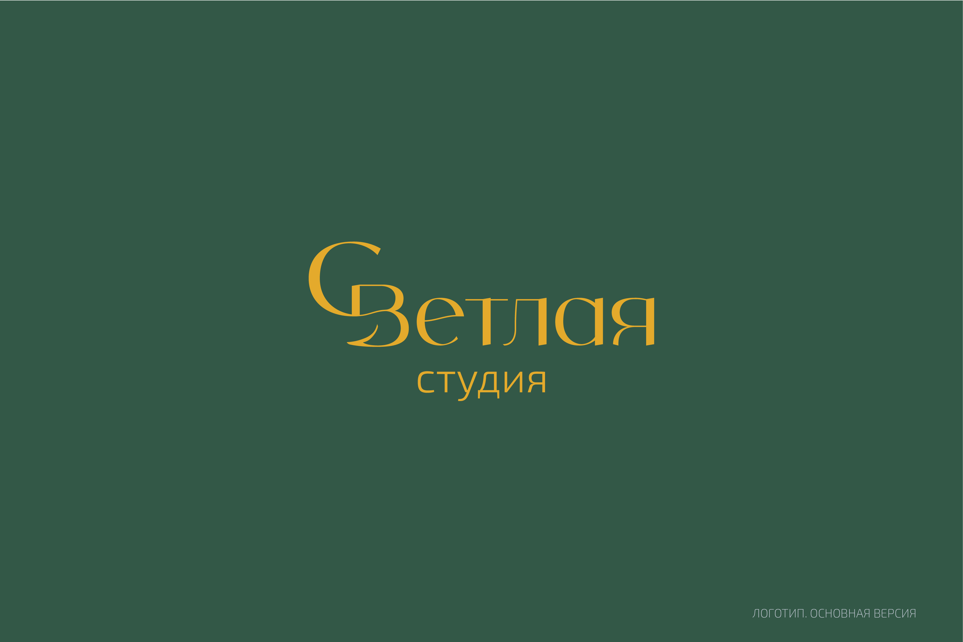 Фирменный стиль для студии красоты Светлая — Изображение №4 — Брендинг, Графика на Dprofile
