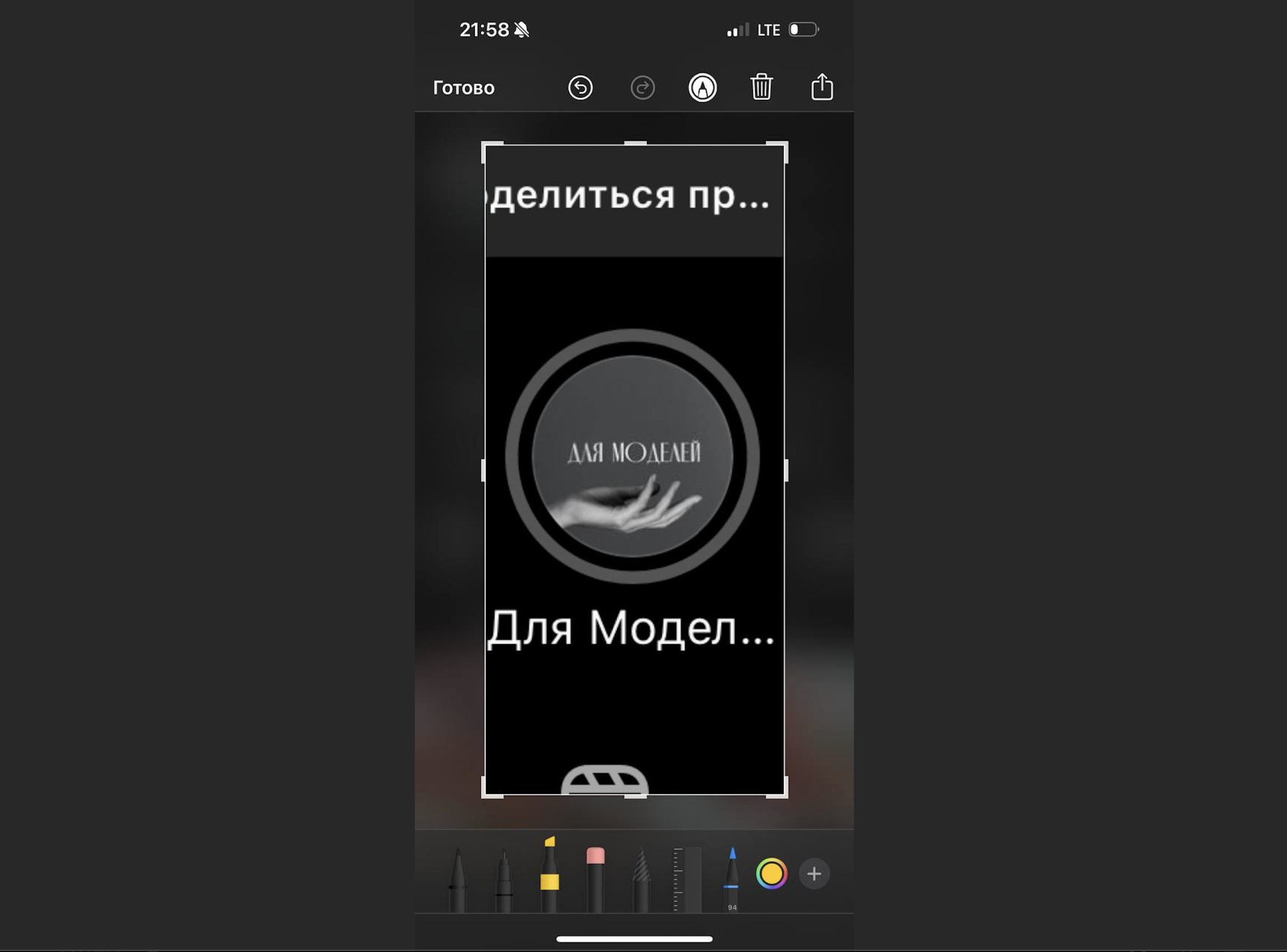 Анимация логотипа для нейл студии — Изображение №2 — Анимация на Dprofile