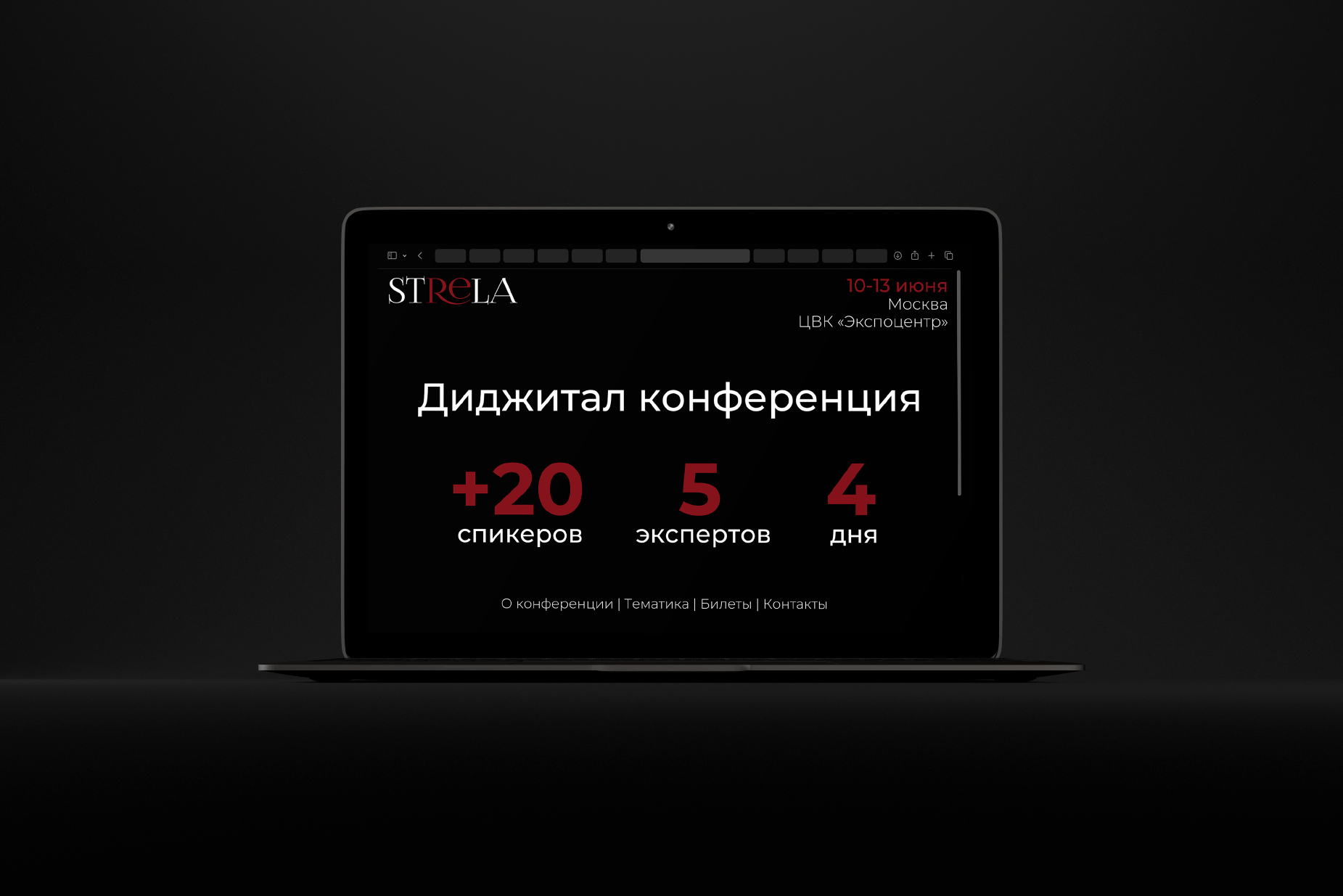 Digital-конференция | Strela — Изображение №10 — Брендинг на Dprofile