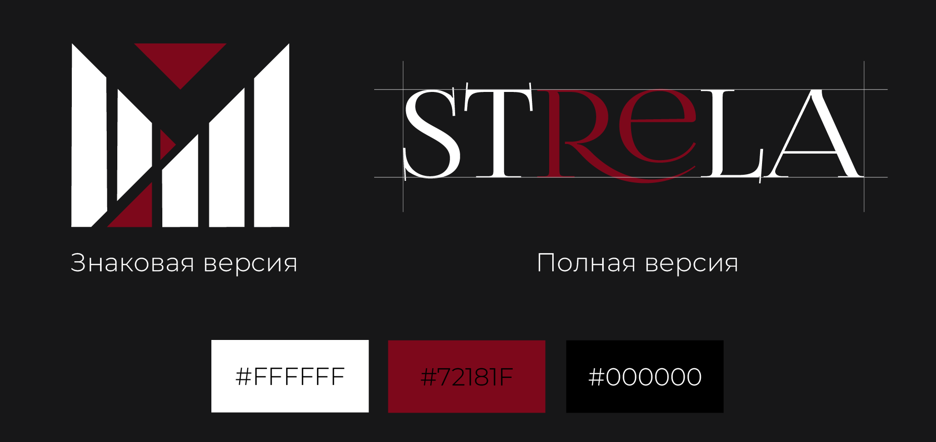 Digital-конференция | Strela — Изображение №4 — Брендинг на Dprofile