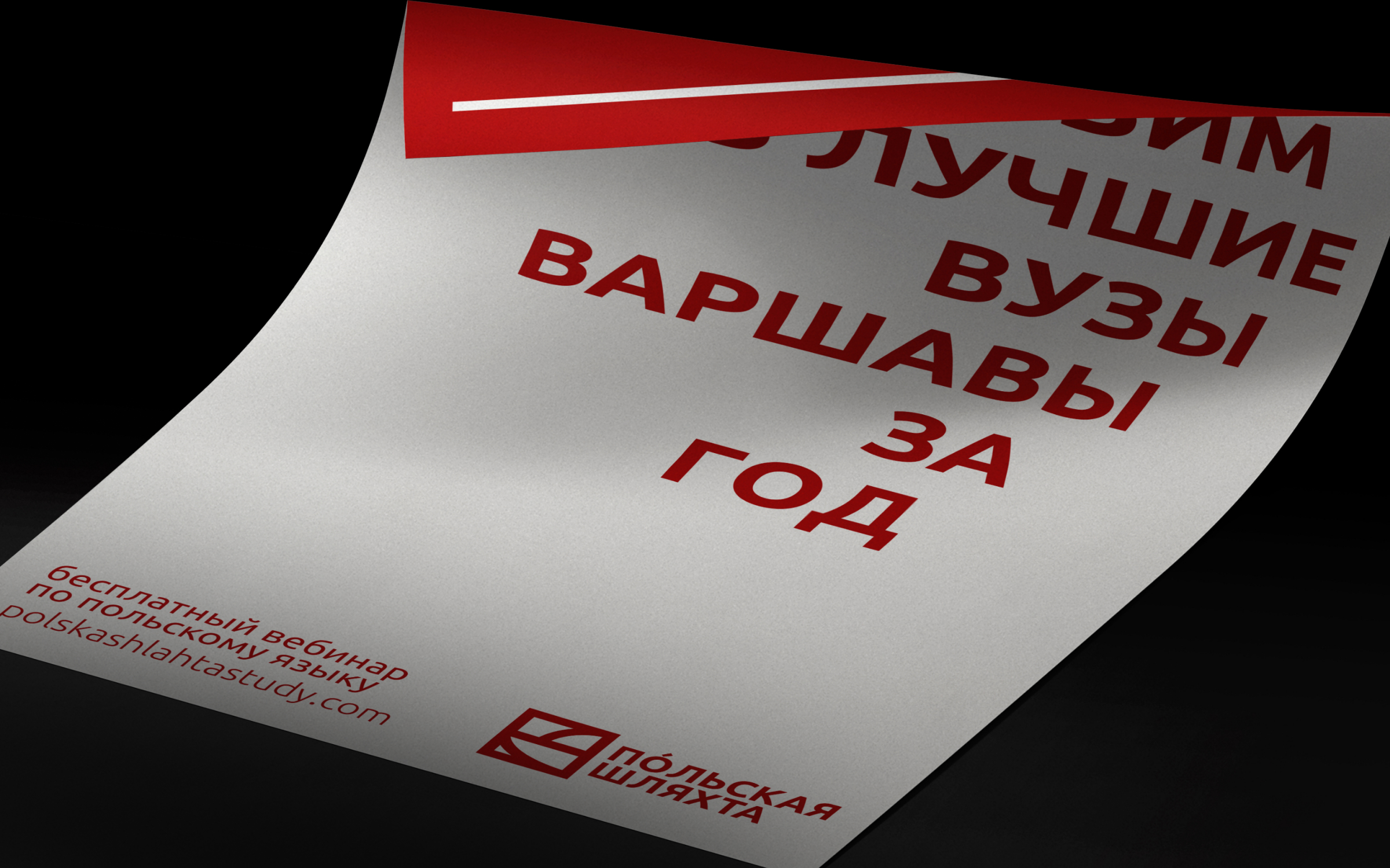 Польская шляхта | Brand identity — Изображение №5 — Брендинг на Dprofile