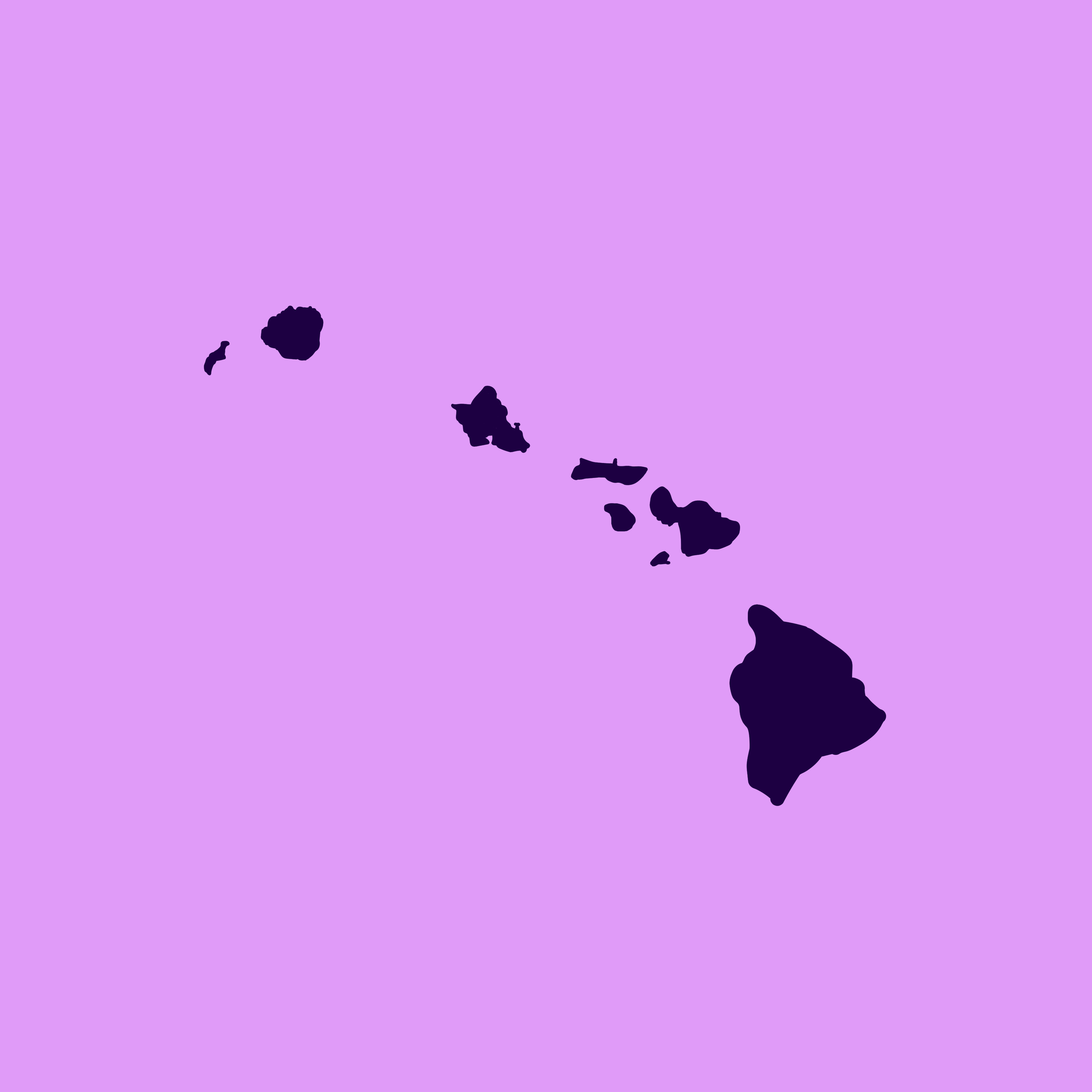 Hawaii Sneakers | brand identity — Изображение №10 — Брендинг на Dprofile