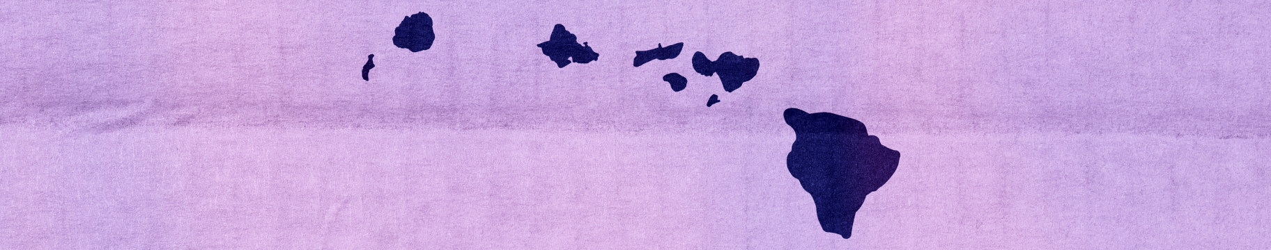 Hawaii Sneakers | brand identity — Изображение №13 — Брендинг на Dprofile