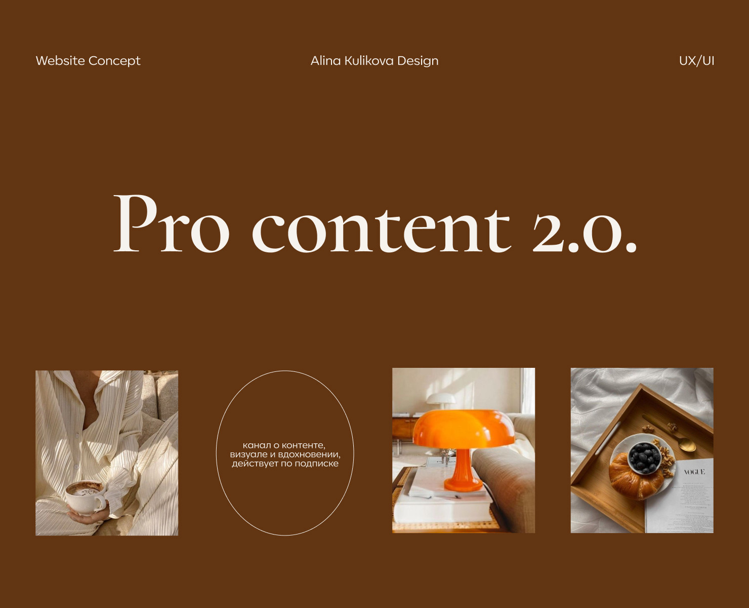 Website design concept | Pro content 2.0. на Dprofile