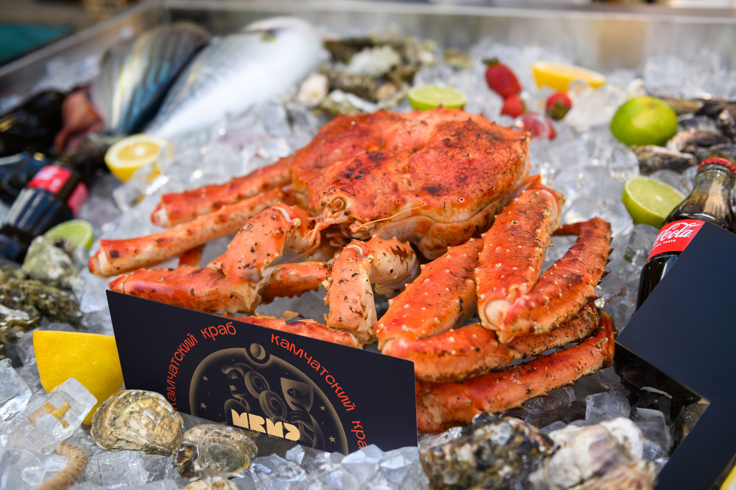2023 | MRMD seafood festival — Изображение №29 — Брендинг на Dprofile