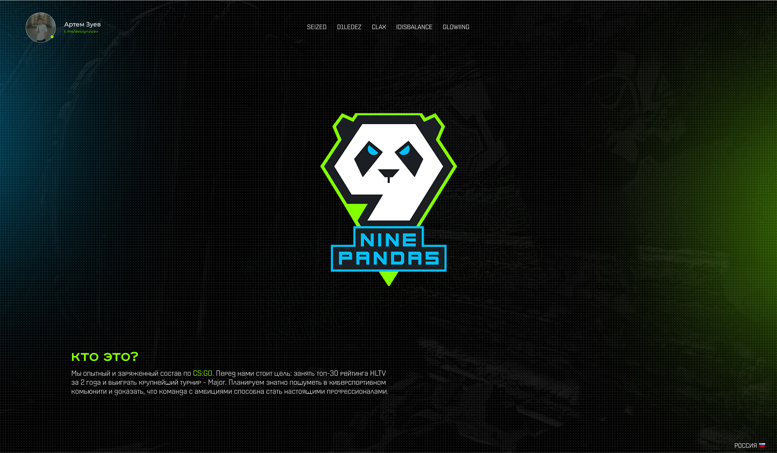 NINE PANDAS — Изображение №1 — Интерфейсы, Брендинг на Dprofile