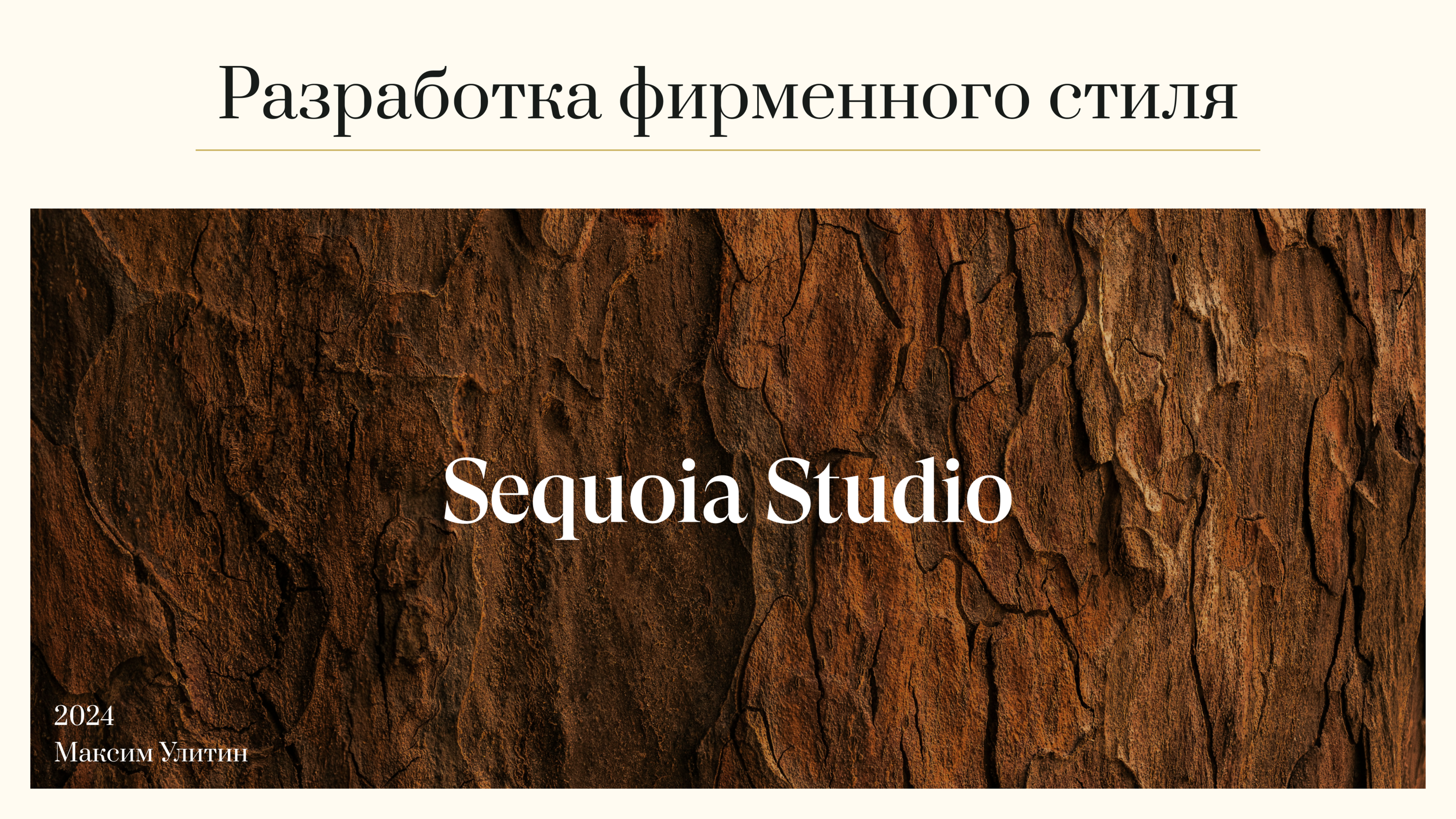 Разработка фирменного стиля — Изображение №1 — Брендинг на Dprofile