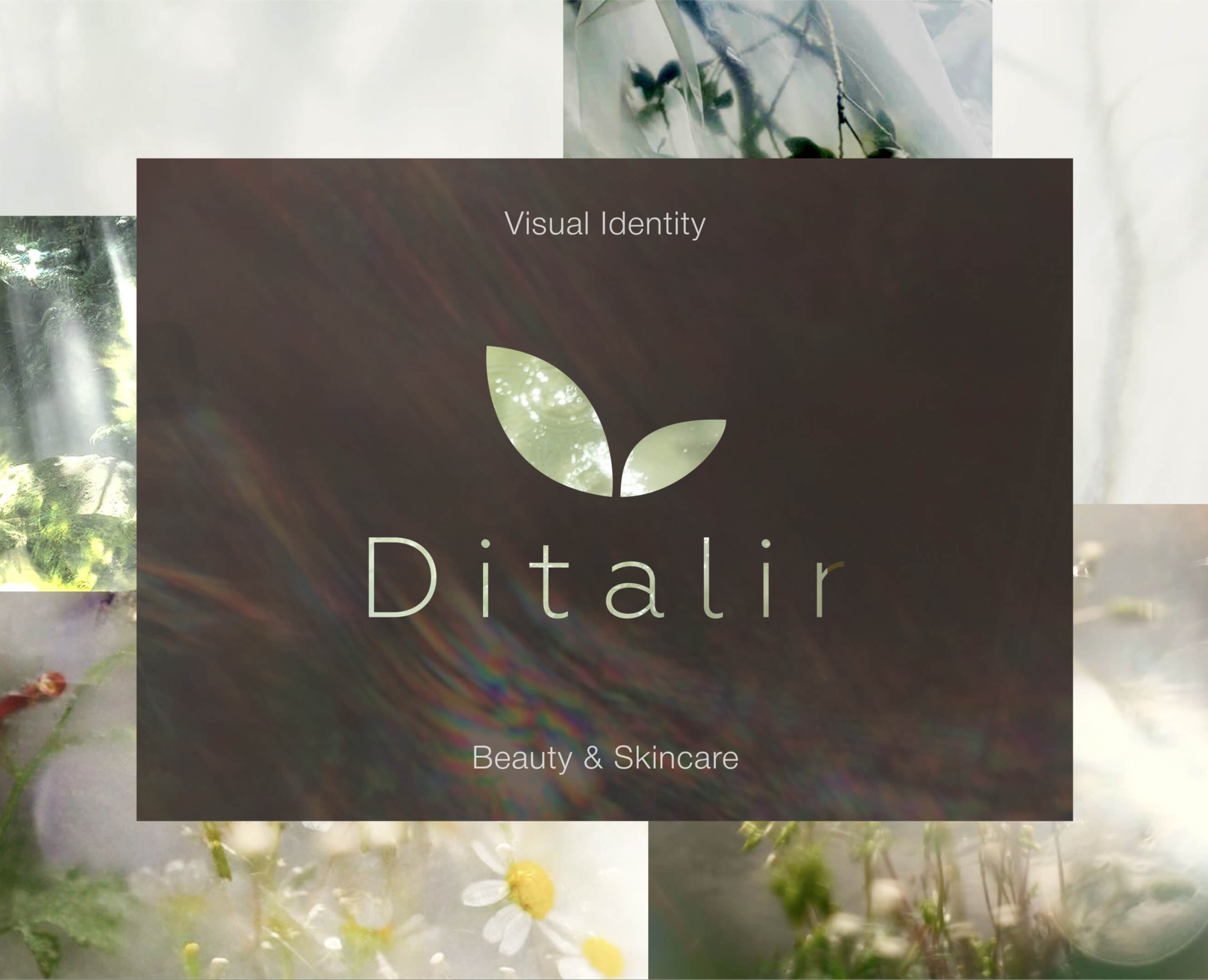 Visual Identity for Beauty & Skincare Brand на Dprofile