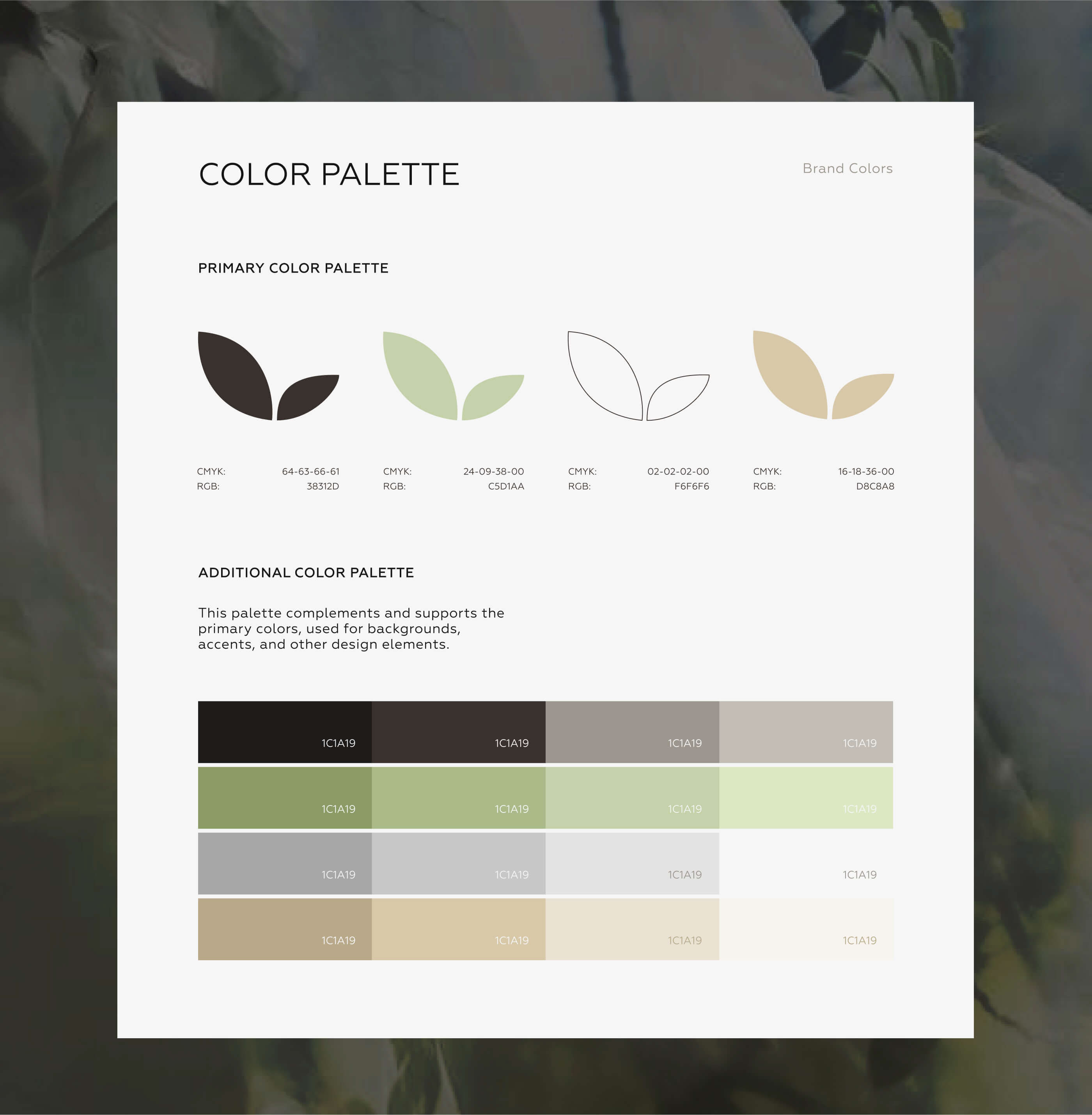 Visual Identity for Beauty & Skincare Brand — Изображение №8 — Брендинг на Dprofile