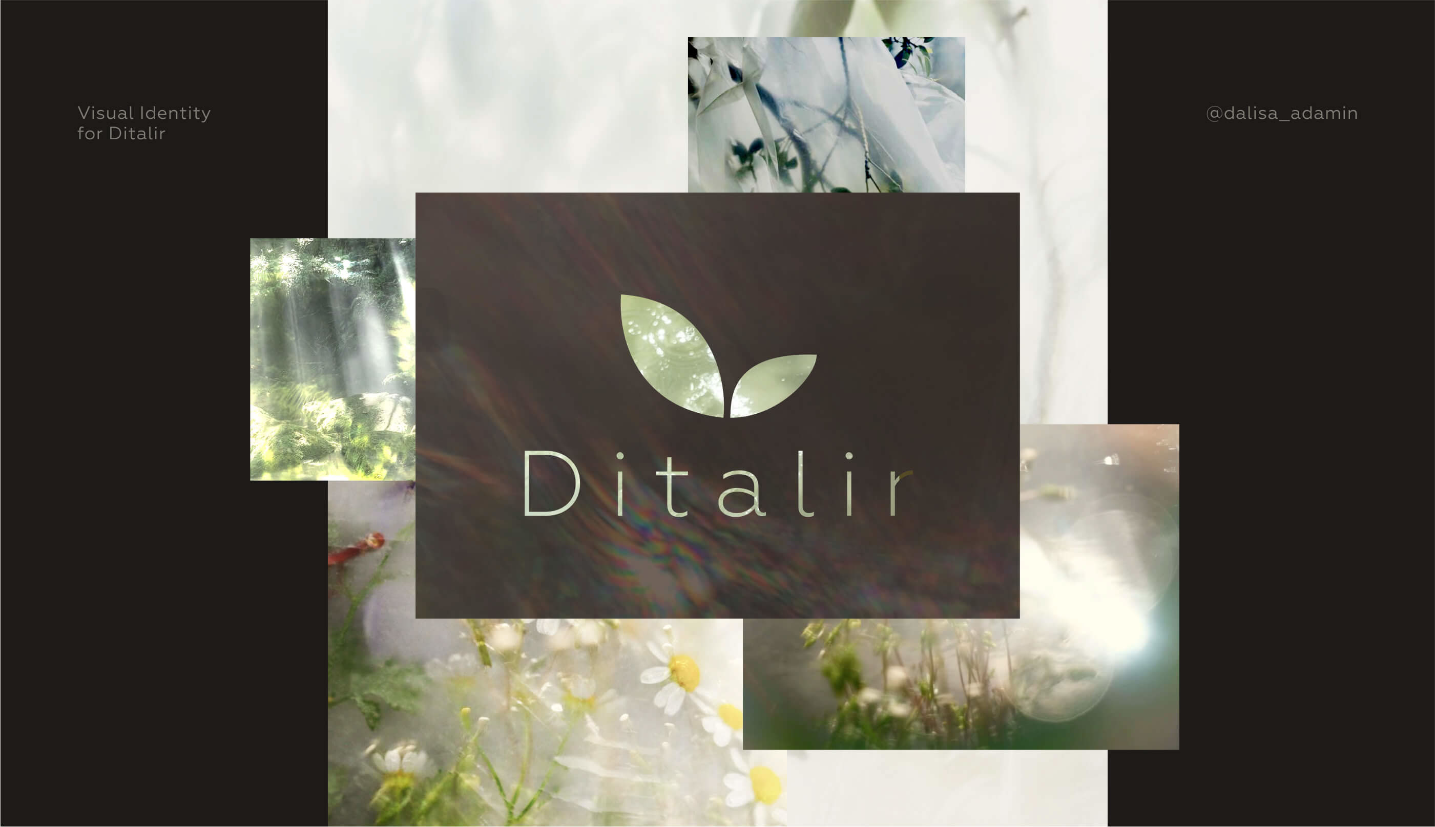 Visual Identity for Beauty & Skincare Brand — Изображение №1 — Брендинг на Dprofile