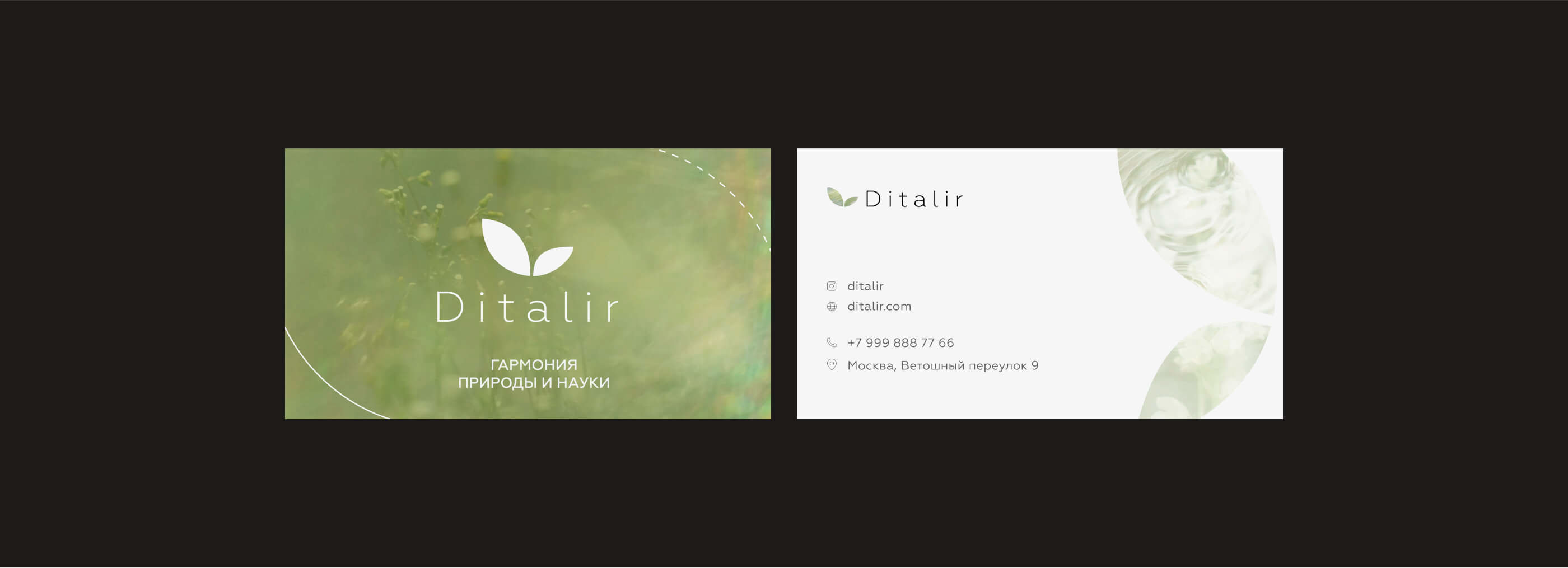 Visual Identity for Beauty & Skincare Brand — Изображение №7 — Брендинг на Dprofile