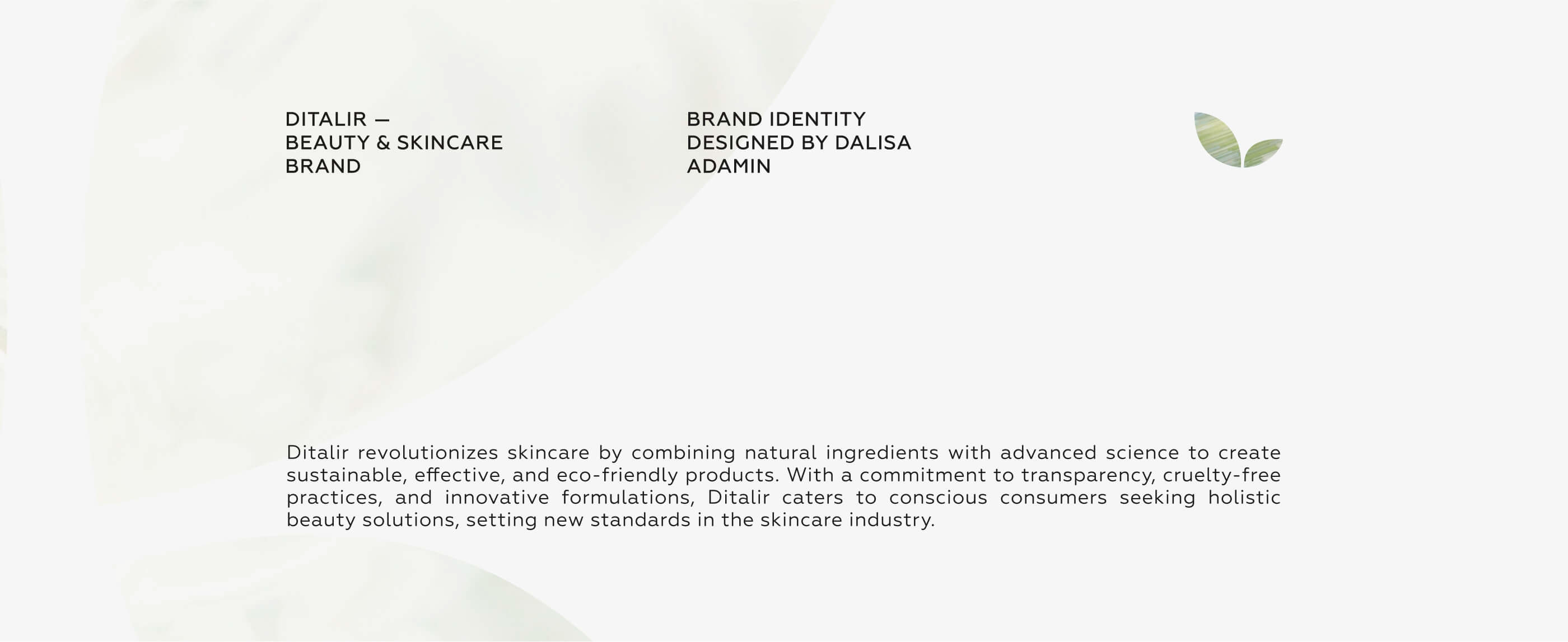 Visual Identity for Beauty & Skincare Brand — Изображение №2 — Брендинг на Dprofile