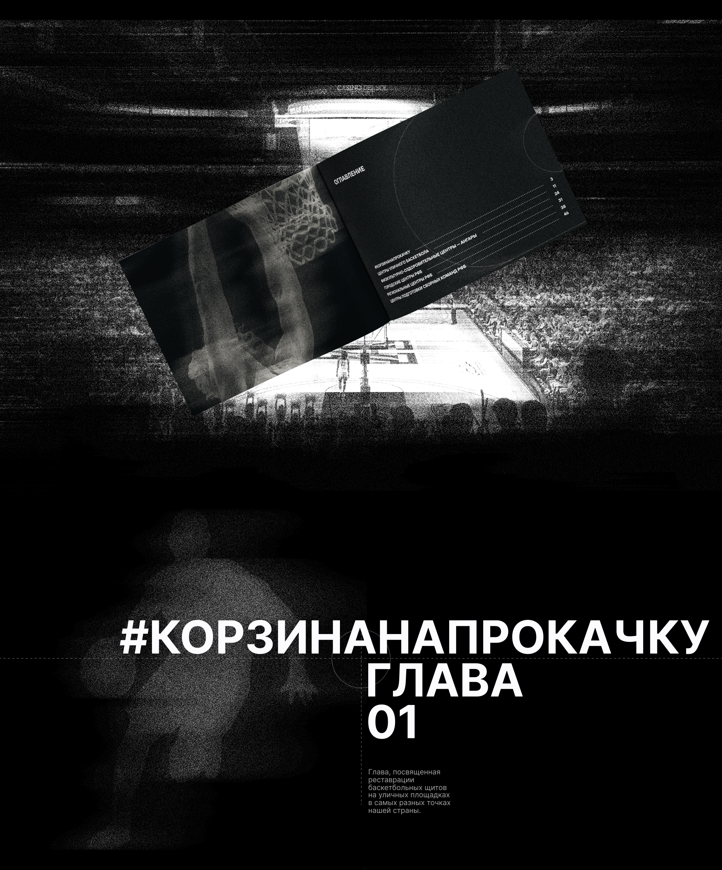 Книга для Российской Федерации Баскетбола — Изображение №6 — Графика на Dprofile