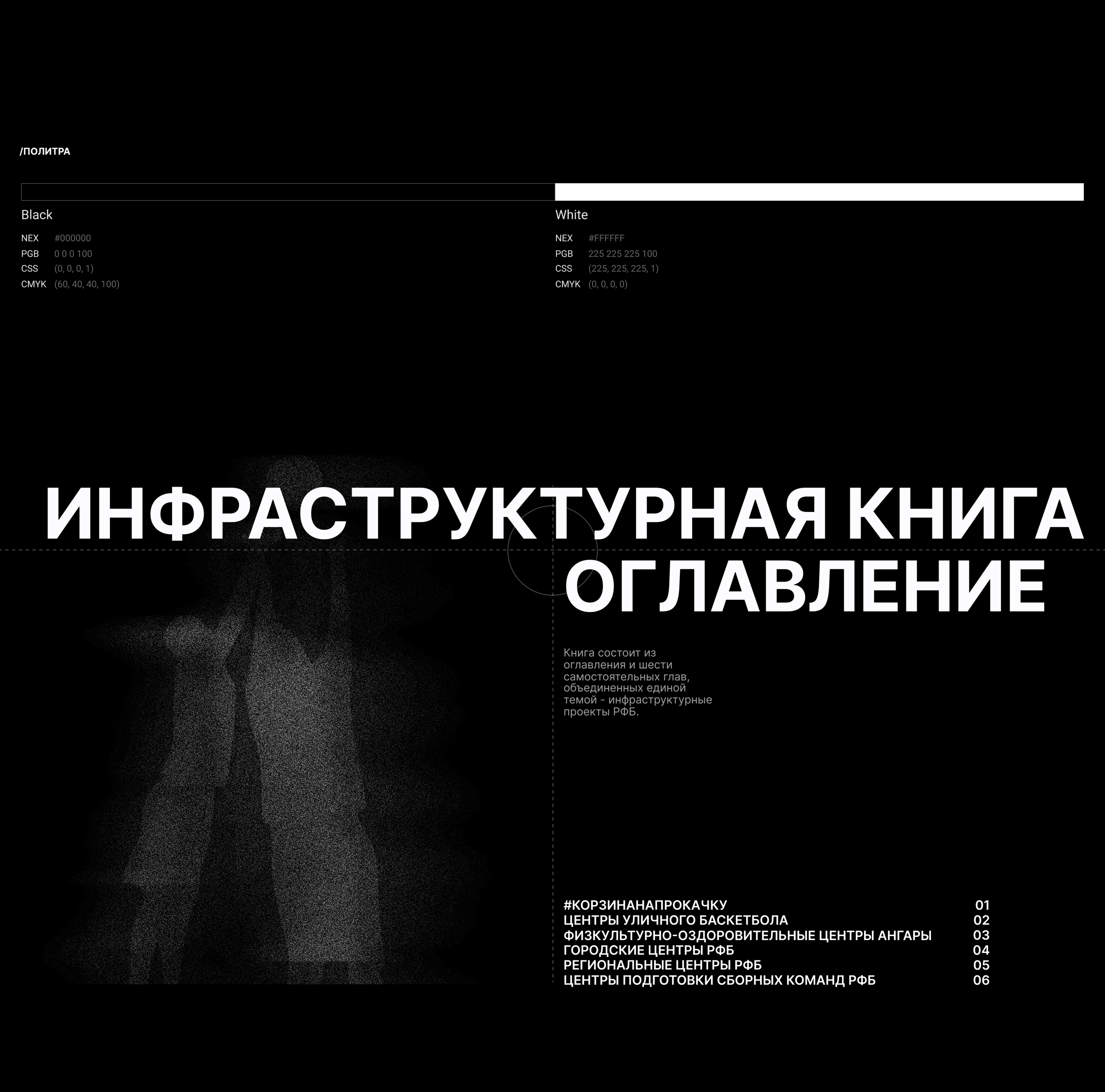 Книга для Российской Федерации Баскетбола — Изображение №5 — Графика на Dprofile