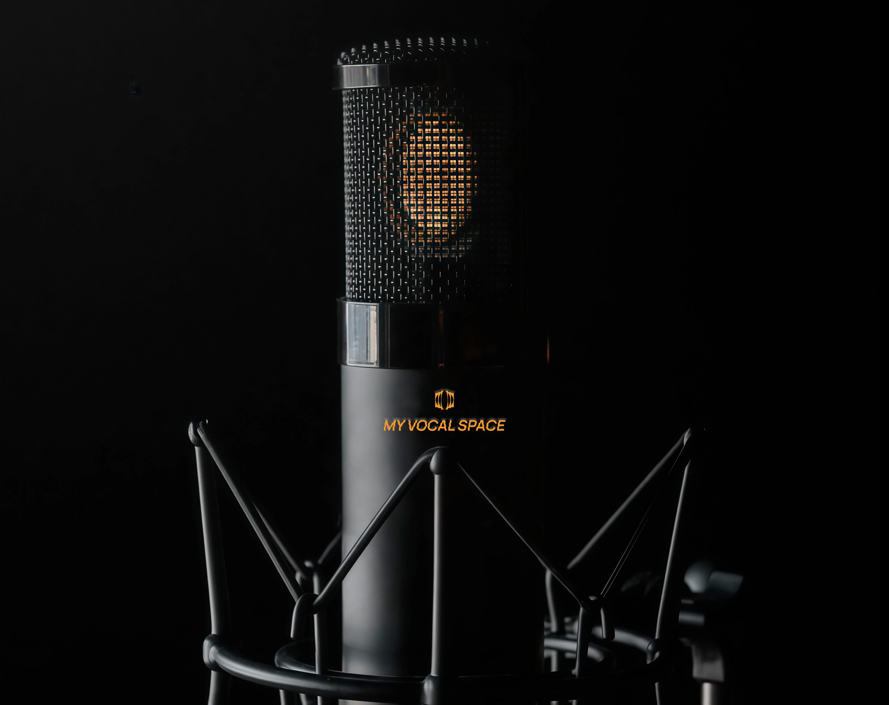 Vocal School Identity & Logo | Айдентика школы вокала — Изображение №1 — Брендинг на Dprofile