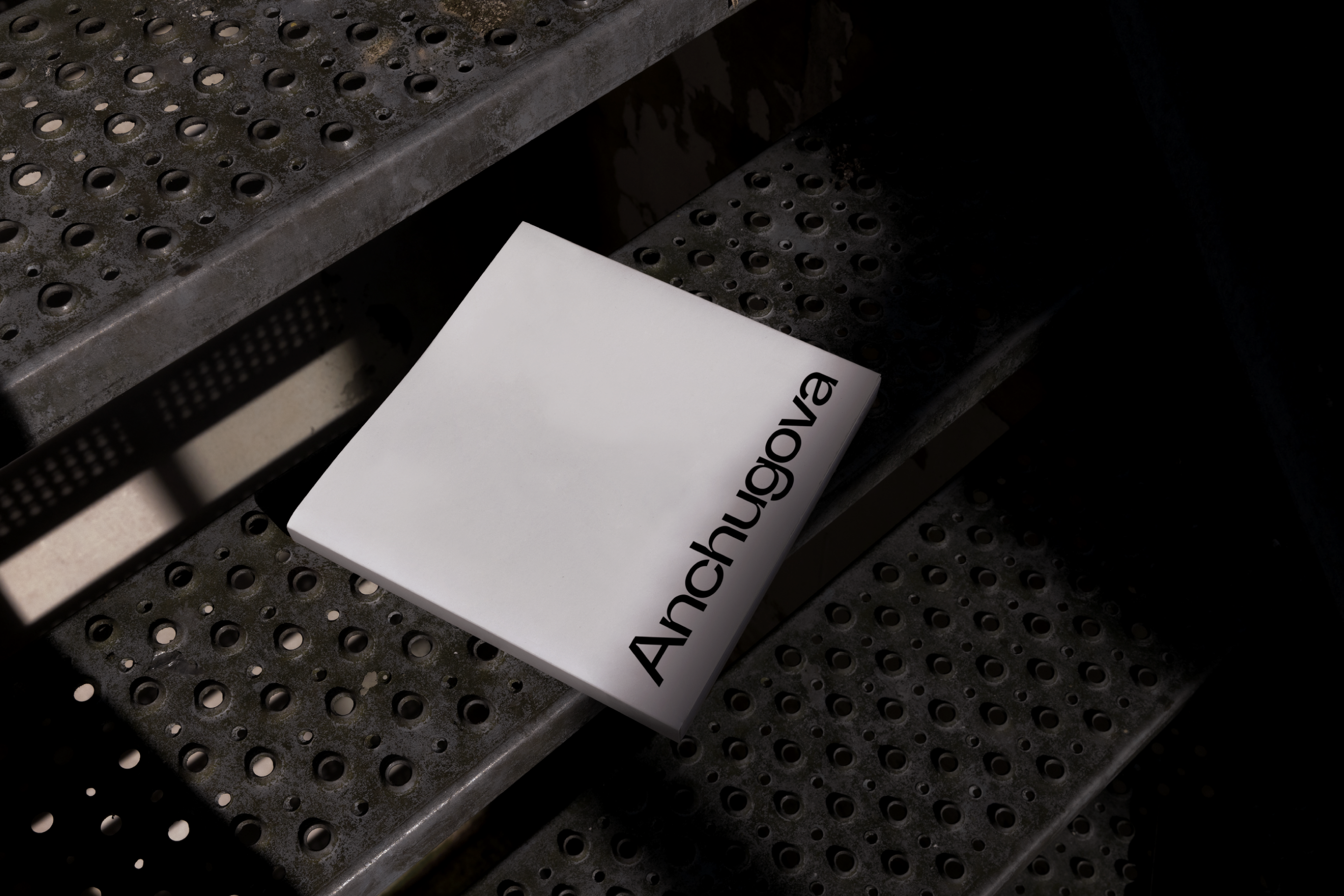 Anchugova Identity for an interior design studio. — Изображение №16 — Брендинг на Dprofile