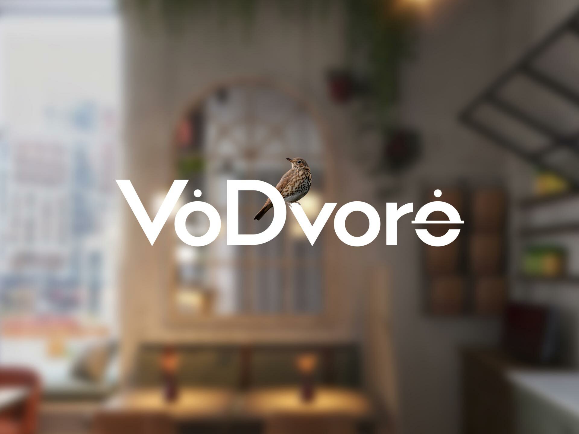 VoDvore — Изображение №22 — Брендинг на Dprofile