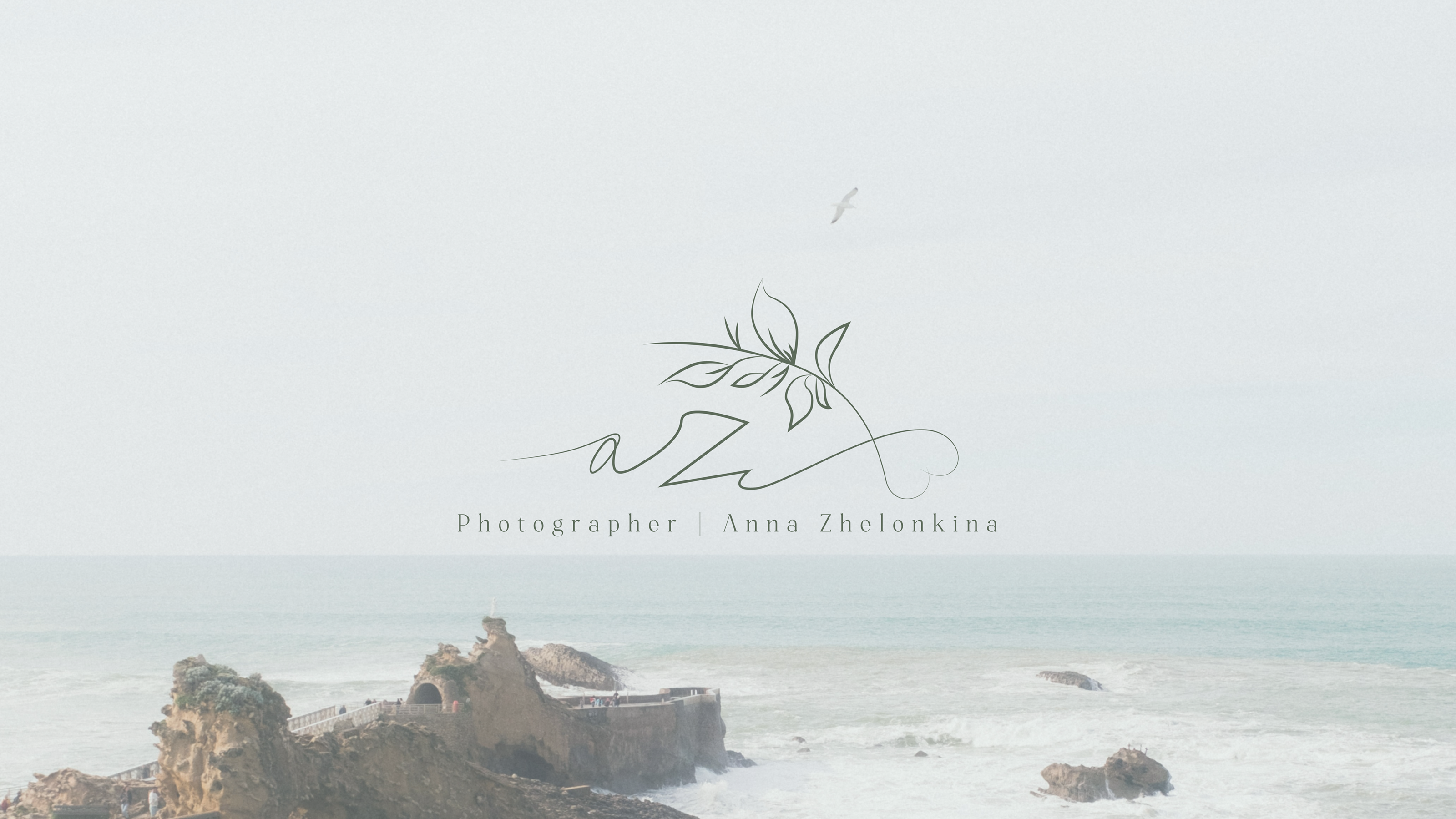 Фирменный стиль/айдентика фотограф — Изображение №1 — Брендинг на Dprofile