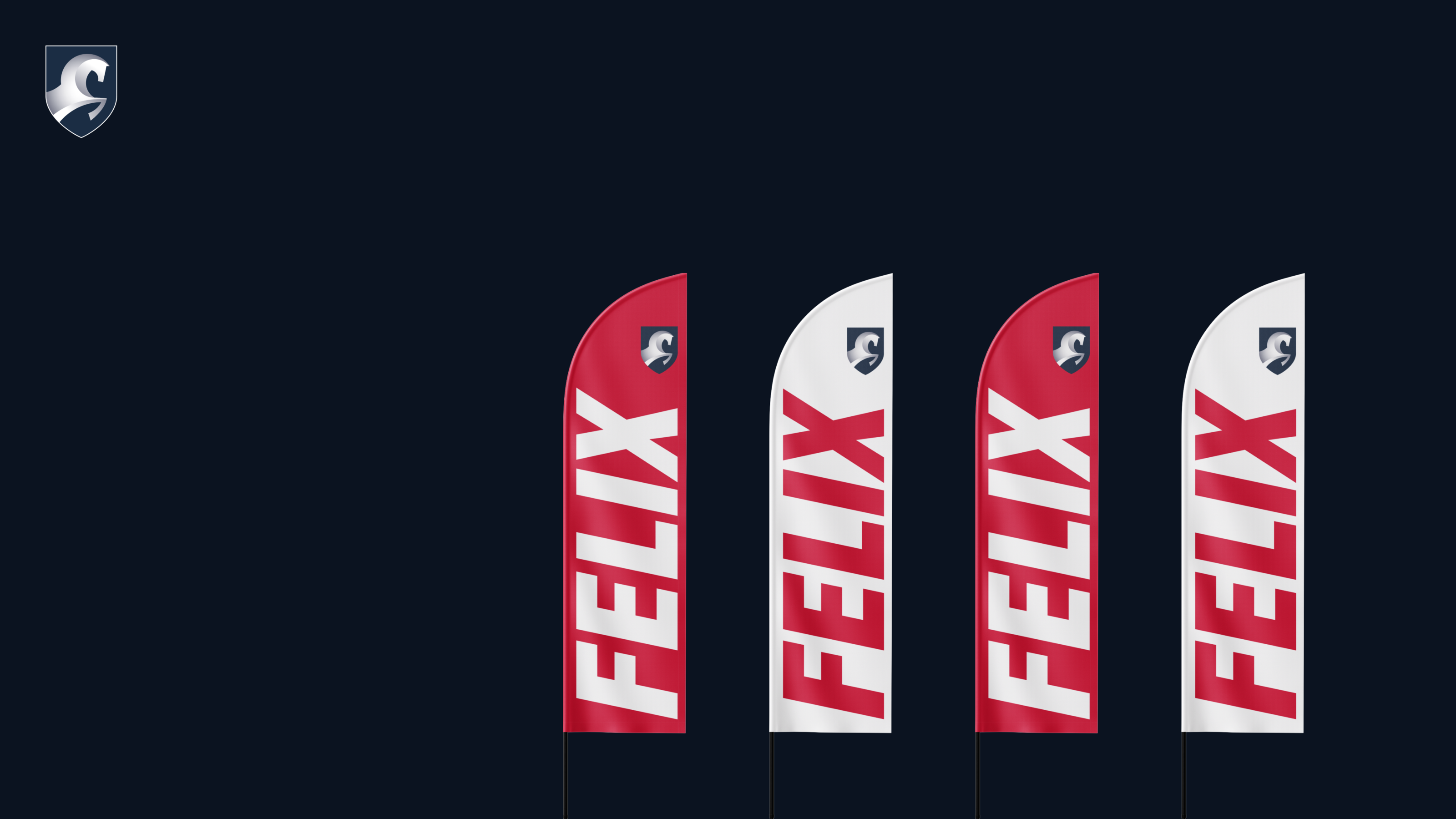 FELIX — Ребрендинг торговой марки — Изображение №6 — Брендинг на Dprofile