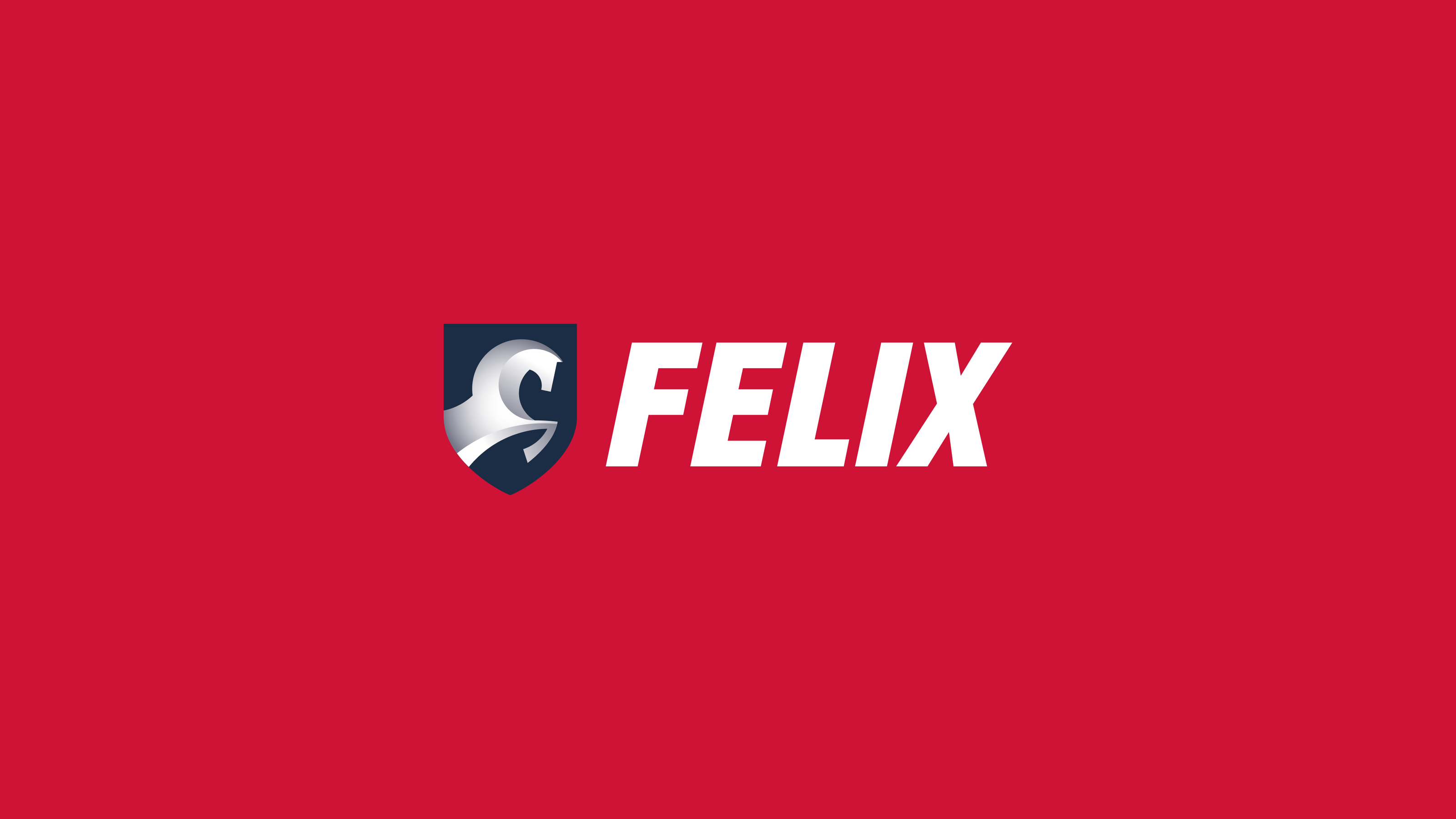 FELIX — Ребрендинг торговой марки — Изображение №1 — Брендинг на Dprofile