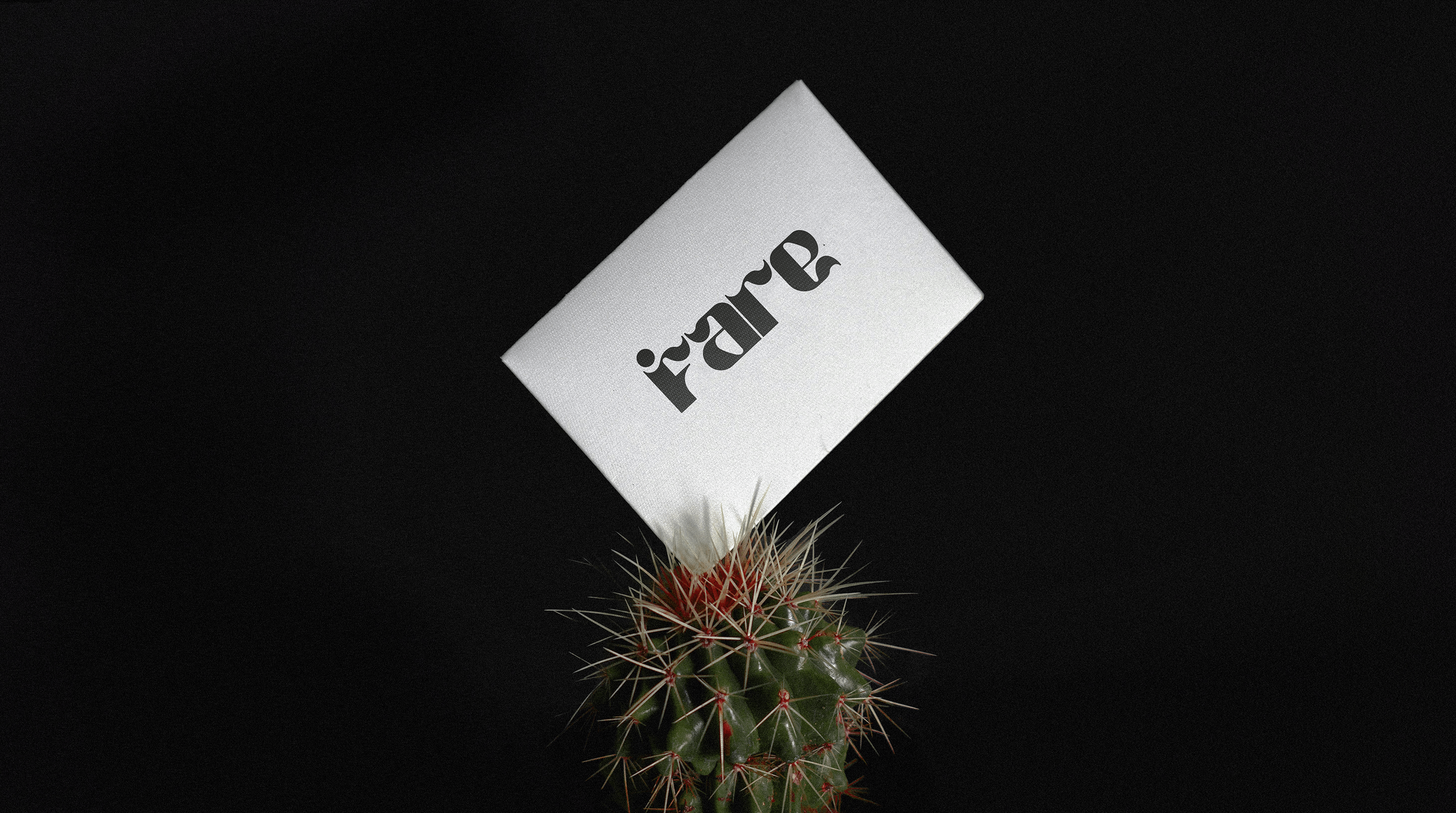 FARE / contemporary art gallery // branding — Изображение №7 — Брендинг, Графика на Dprofile