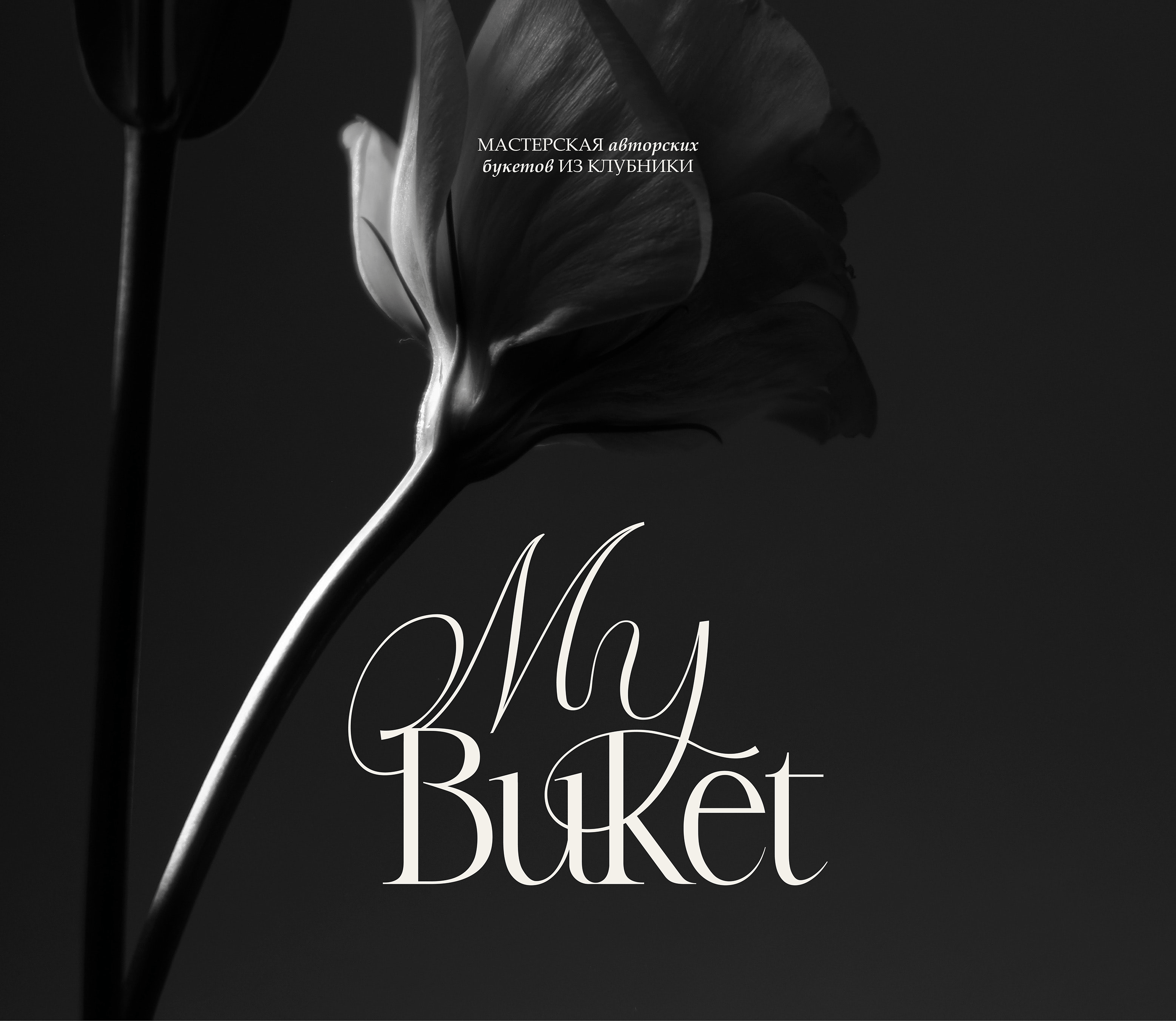 MY BUKET / strawberry bouquets studio // identity — Изображение №1 — Брендинг, Графика на Dprofile