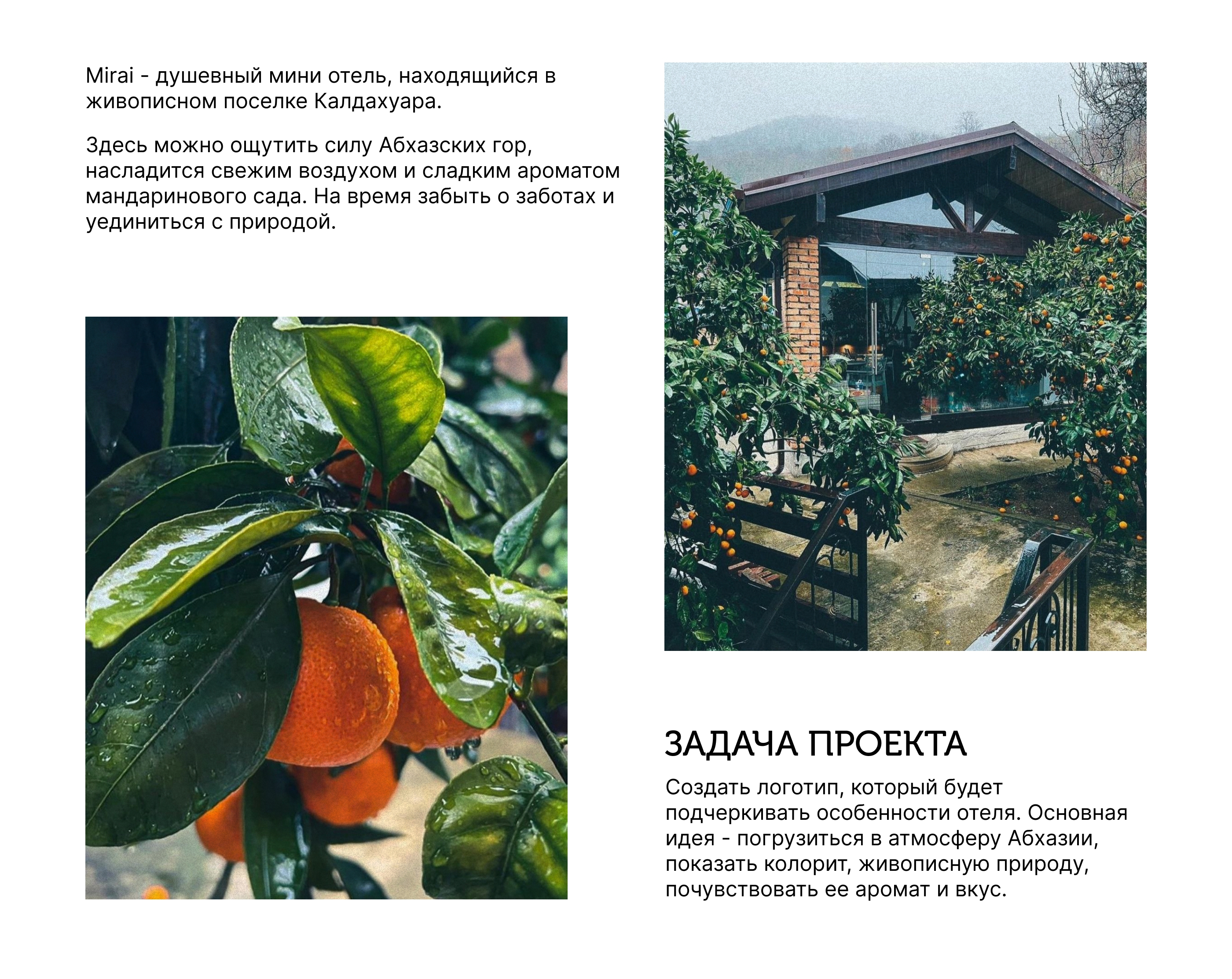 Логотип гостевого дома и домашней алкогольной продукции — Изображение №1 — Брендинг на Dprofile