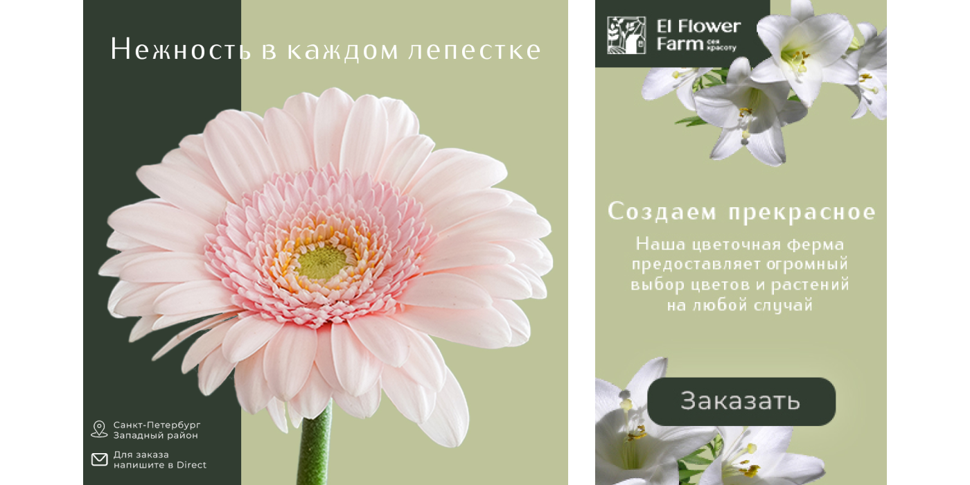 Презентация для цветочной фермы — Изображение №4 — Графика, Маркетинг на Dprofile
