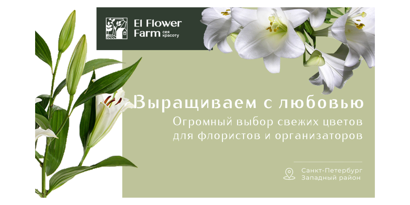Презентация для цветочной фермы — Изображение №6 — Графика, Маркетинг на Dprofile