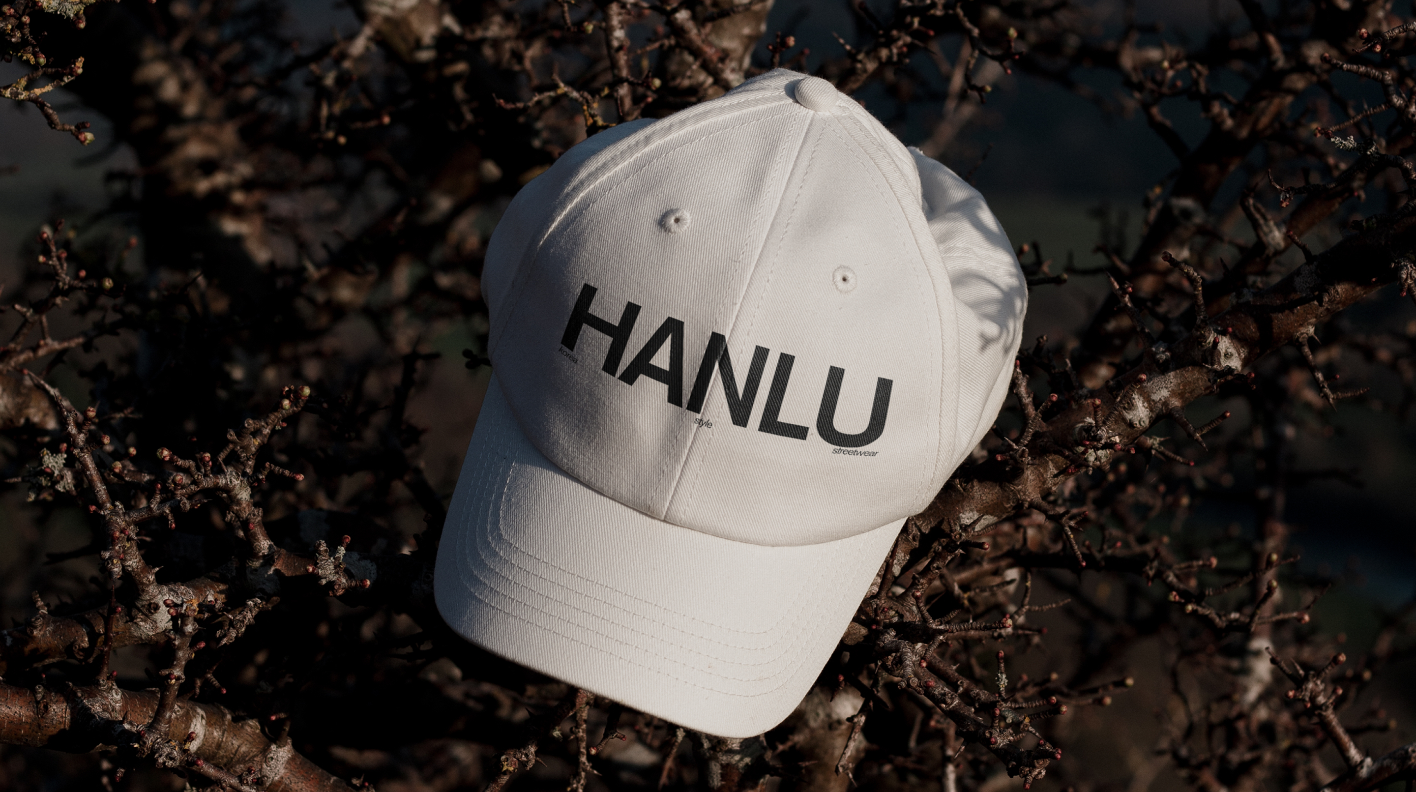 HANLU | E-commerce | UX/UI Design — Изображение №10 — Интерфейсы на Dprofile