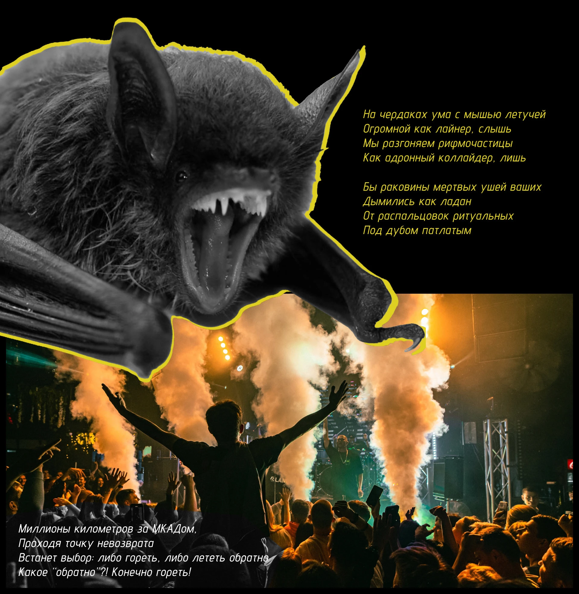 Show bill / ATL ACIDHOUSE — Изображение №5 — Брендинг, Маркетинг на Dprofile