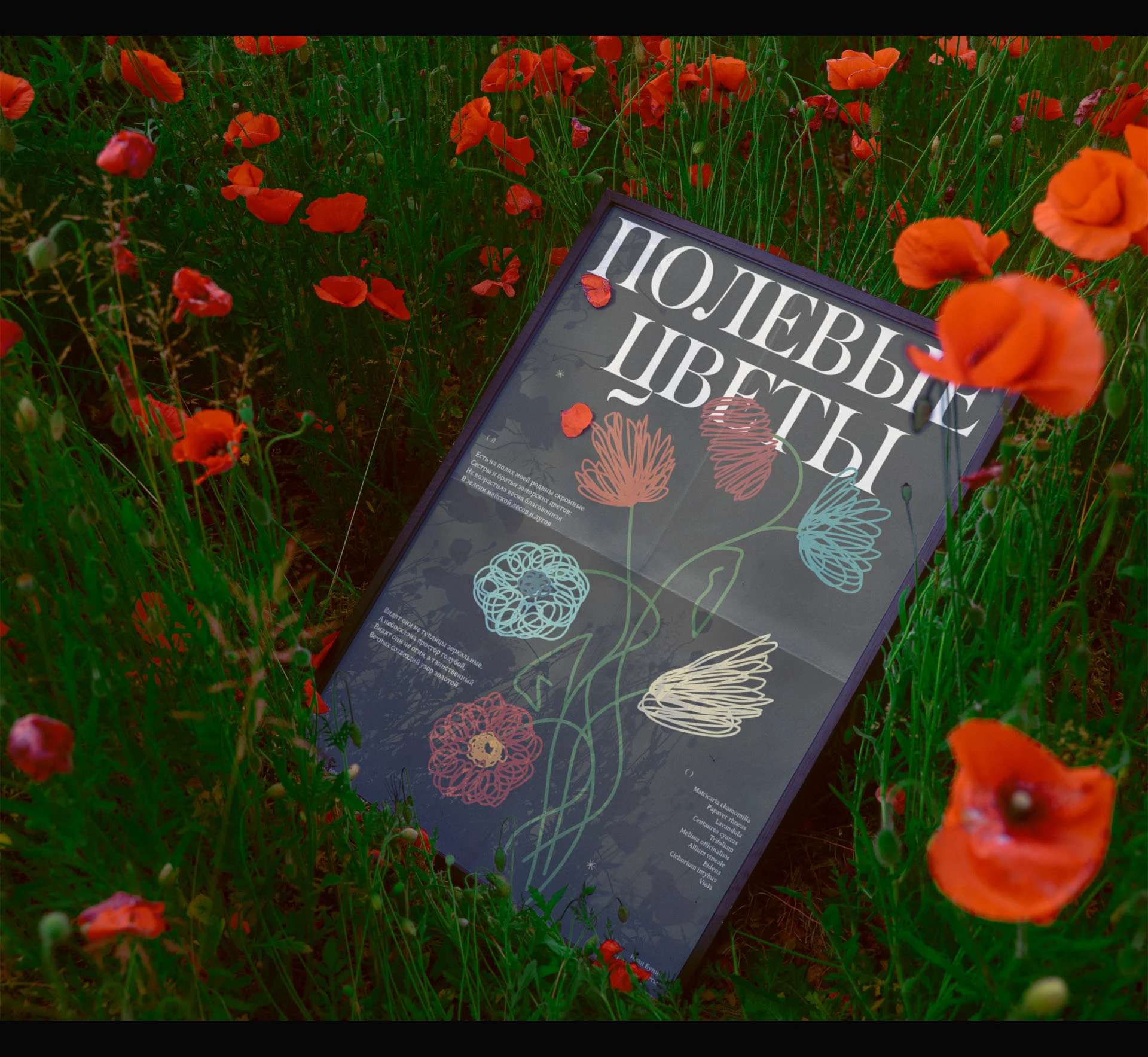 Poster collection / Poetry — Изображение №12 — Графика на Dprofile