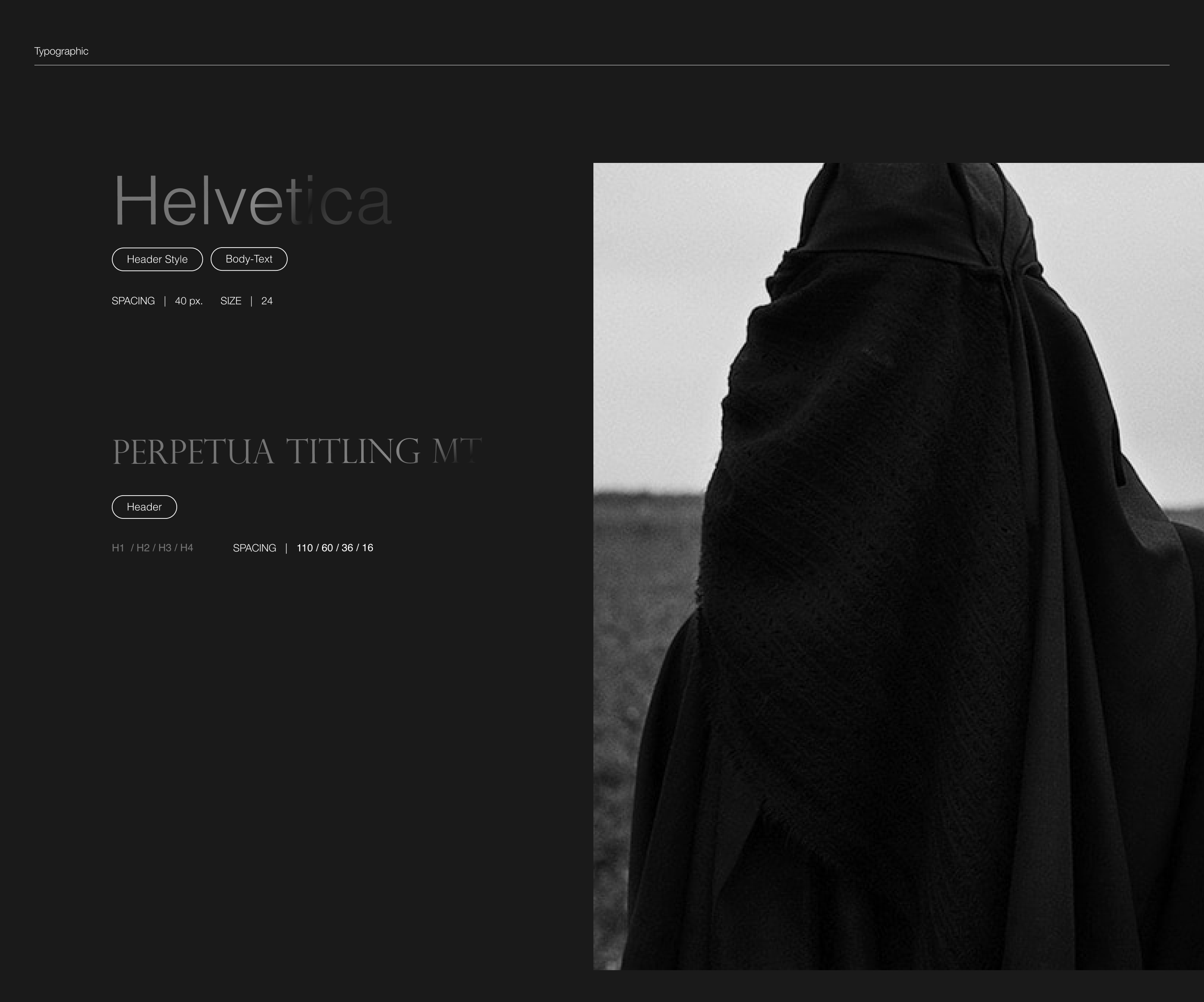 Amenra Band web-site design. — Изображение №11 — Интерфейсы на Dprofile