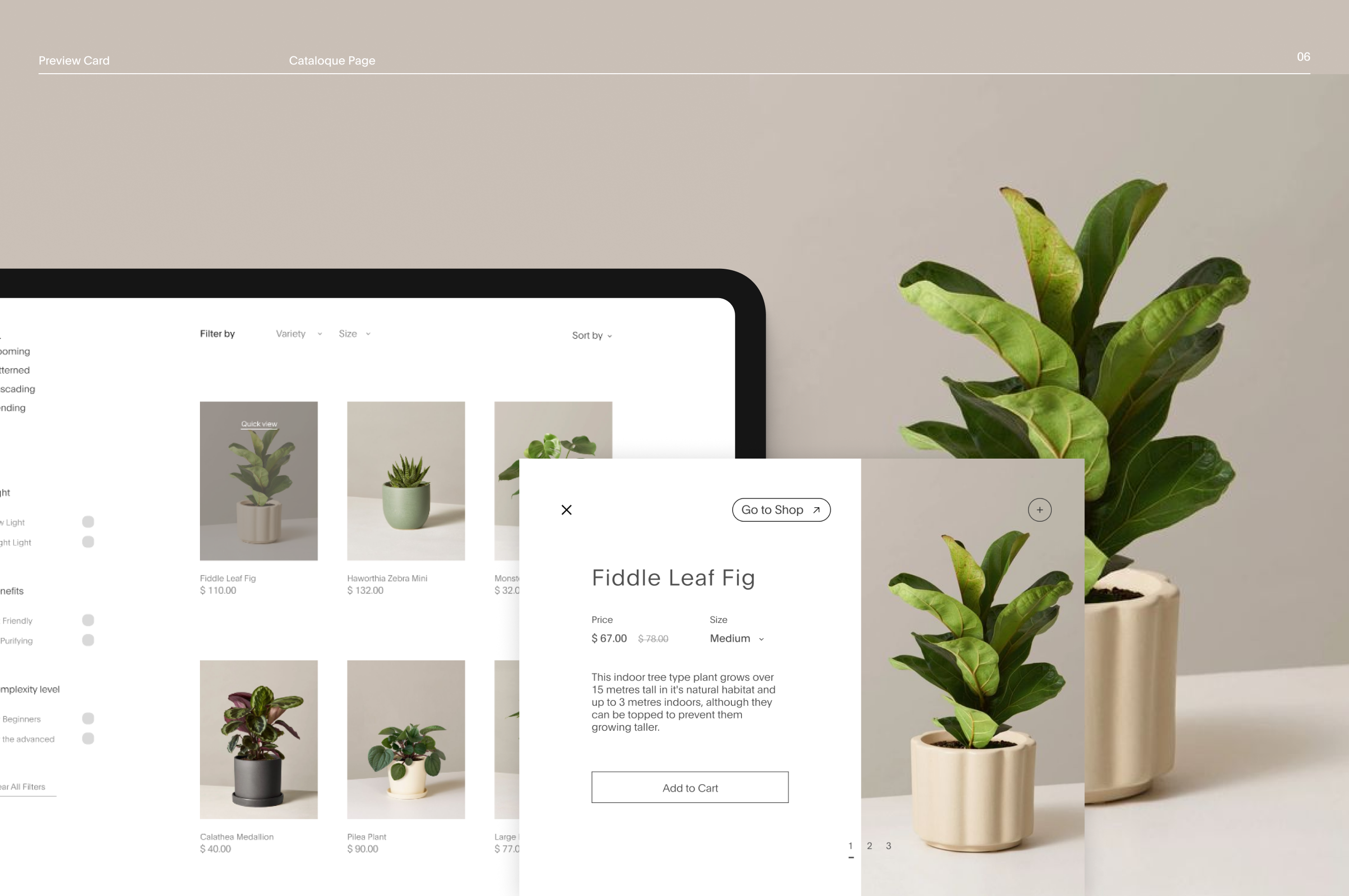 The Sill | Web-Site Redesign — Изображение №11 — Интерфейсы на Dprofile