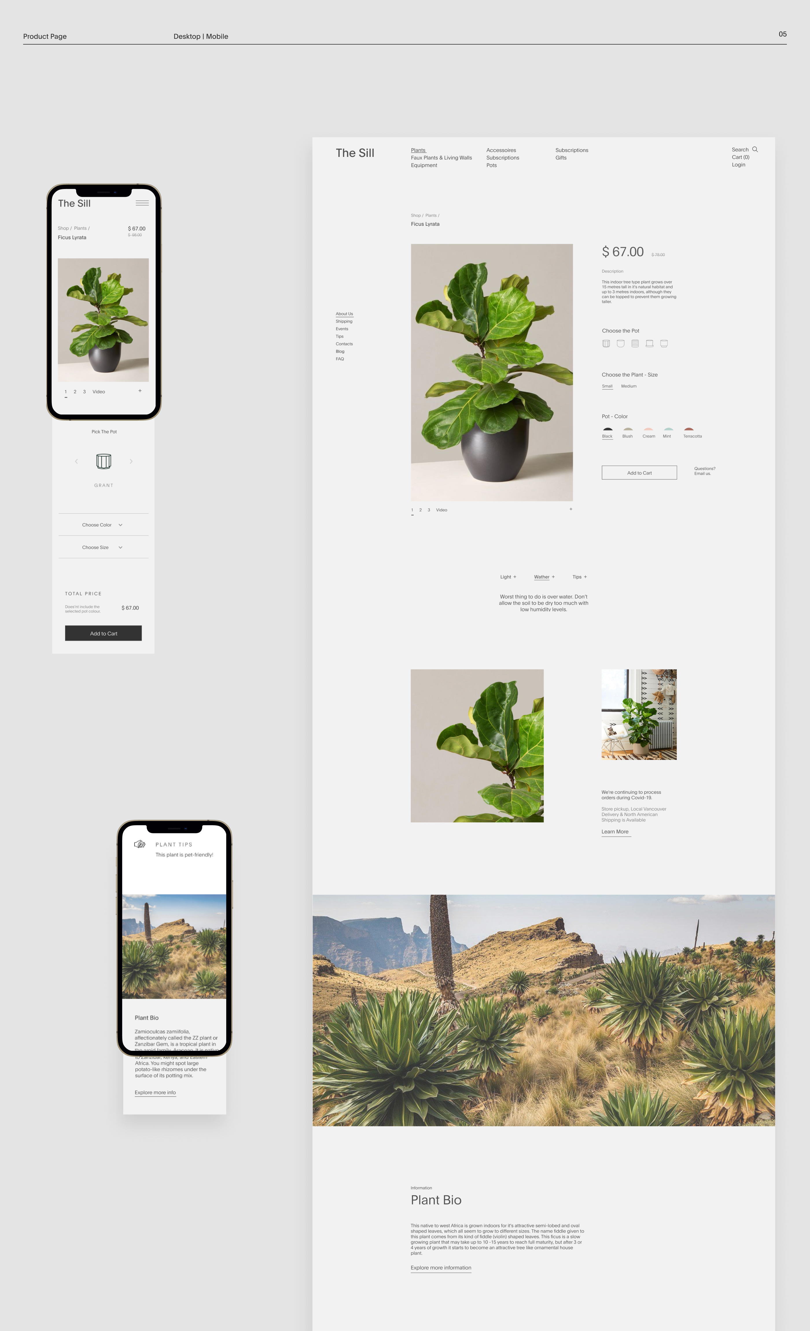 The Sill | Web-Site Redesign — Изображение №8 — Интерфейсы на Dprofile