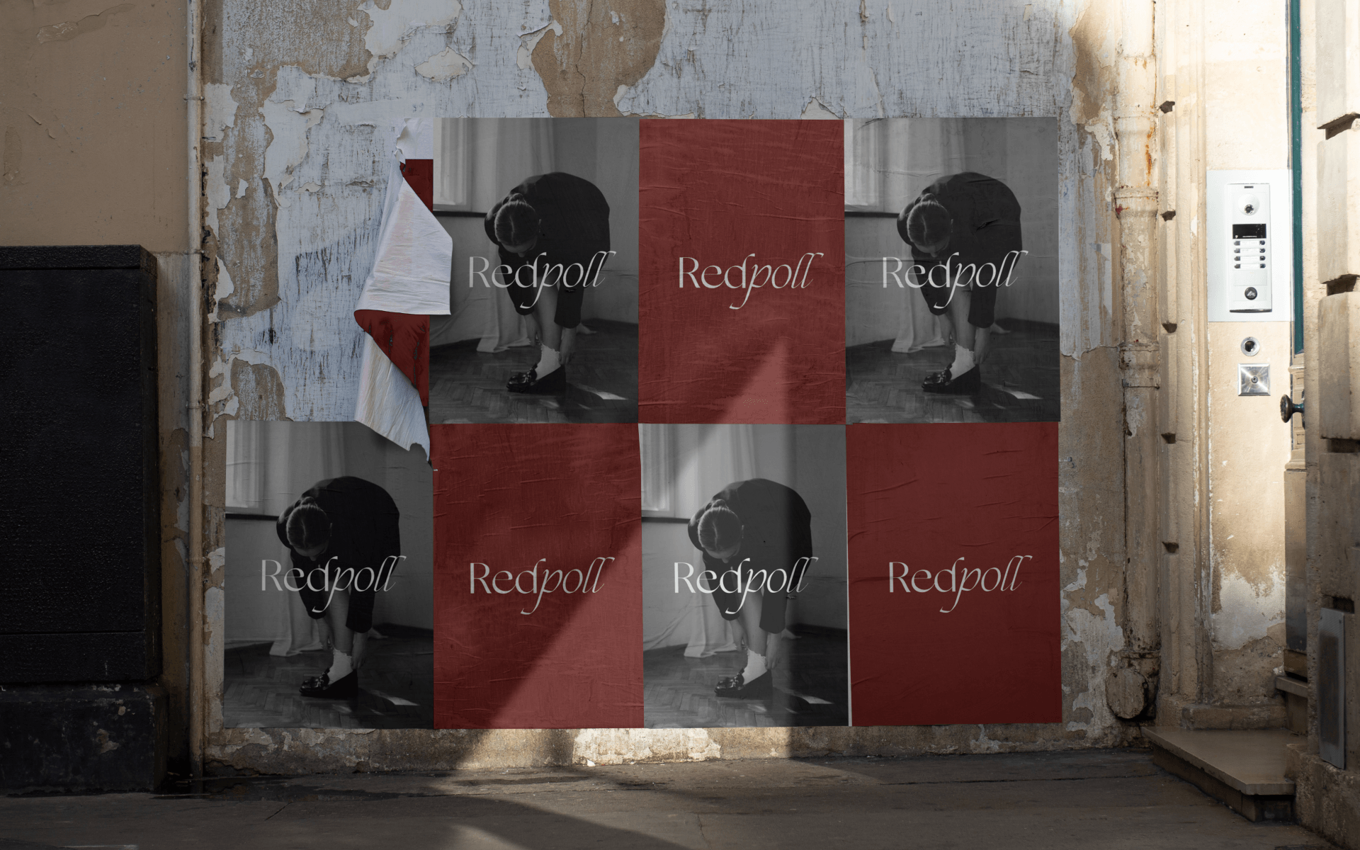 redpoll | brand identity — Изображение №10 — Брендинг на Dprofile