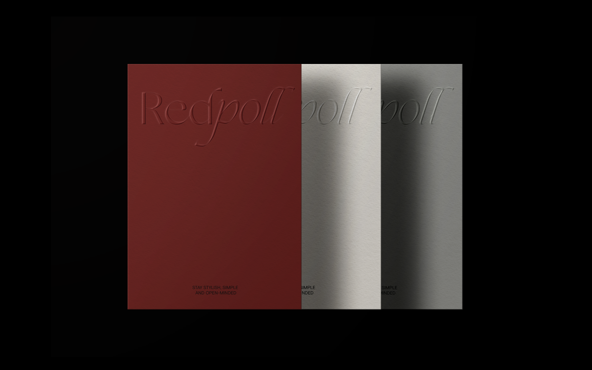 redpoll | brand identity — Изображение №4 — Брендинг на Dprofile