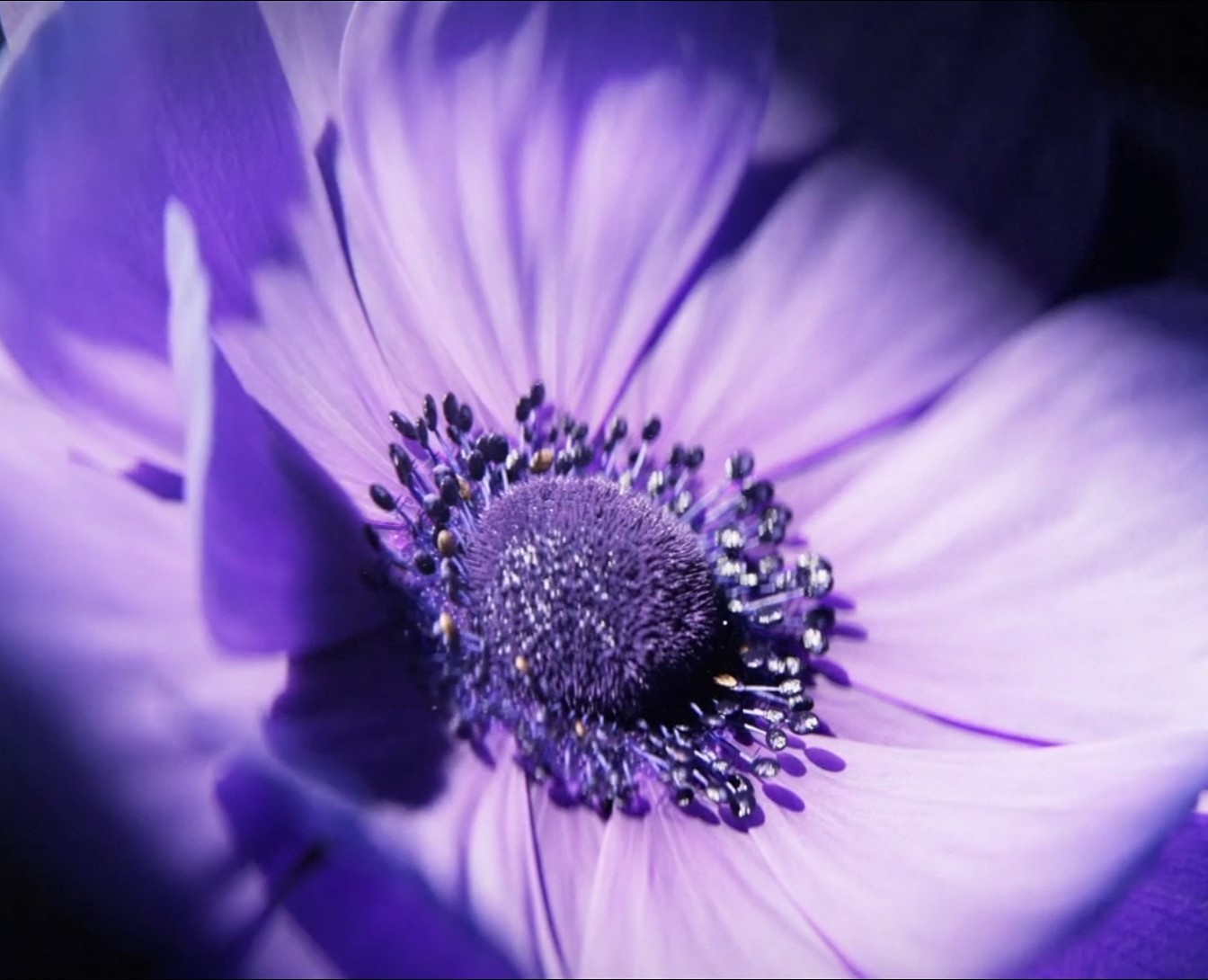 Nothing Phone (1) | Sound Re-Design — 3D, Анимация на Dprofile