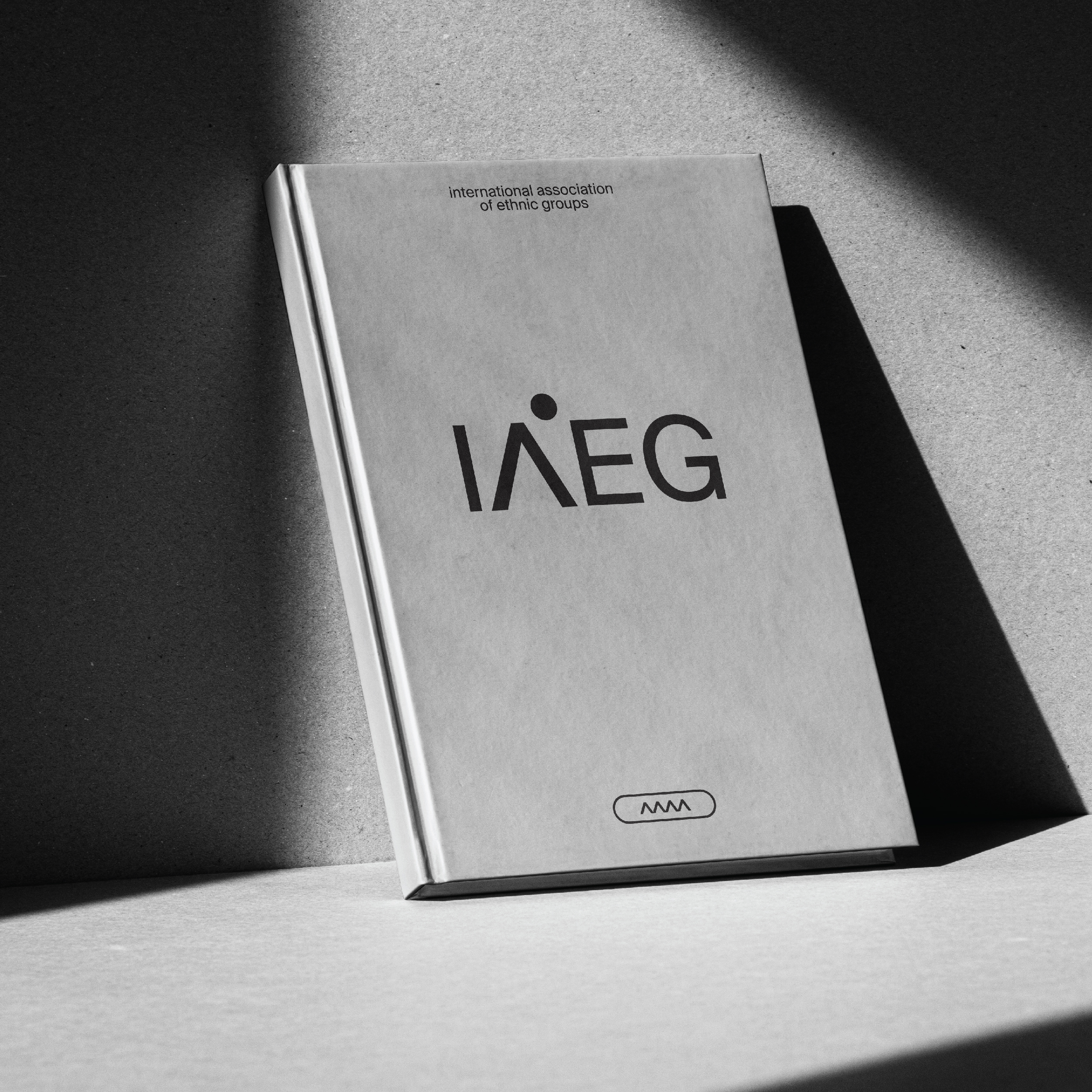 IAEG — Изображение №9 — Брендинг на Dprofile