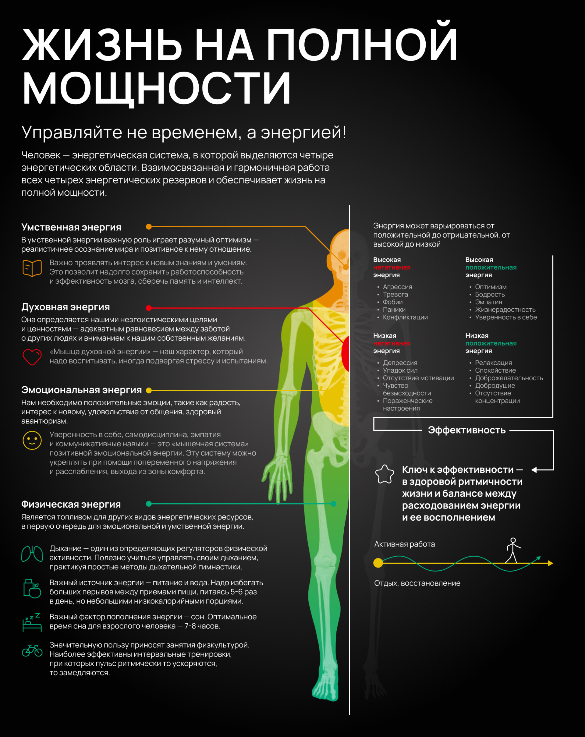 Фирменный стиль «The Human Code» — Изображение №19 — Брендинг, Маркетинг на Dprofile