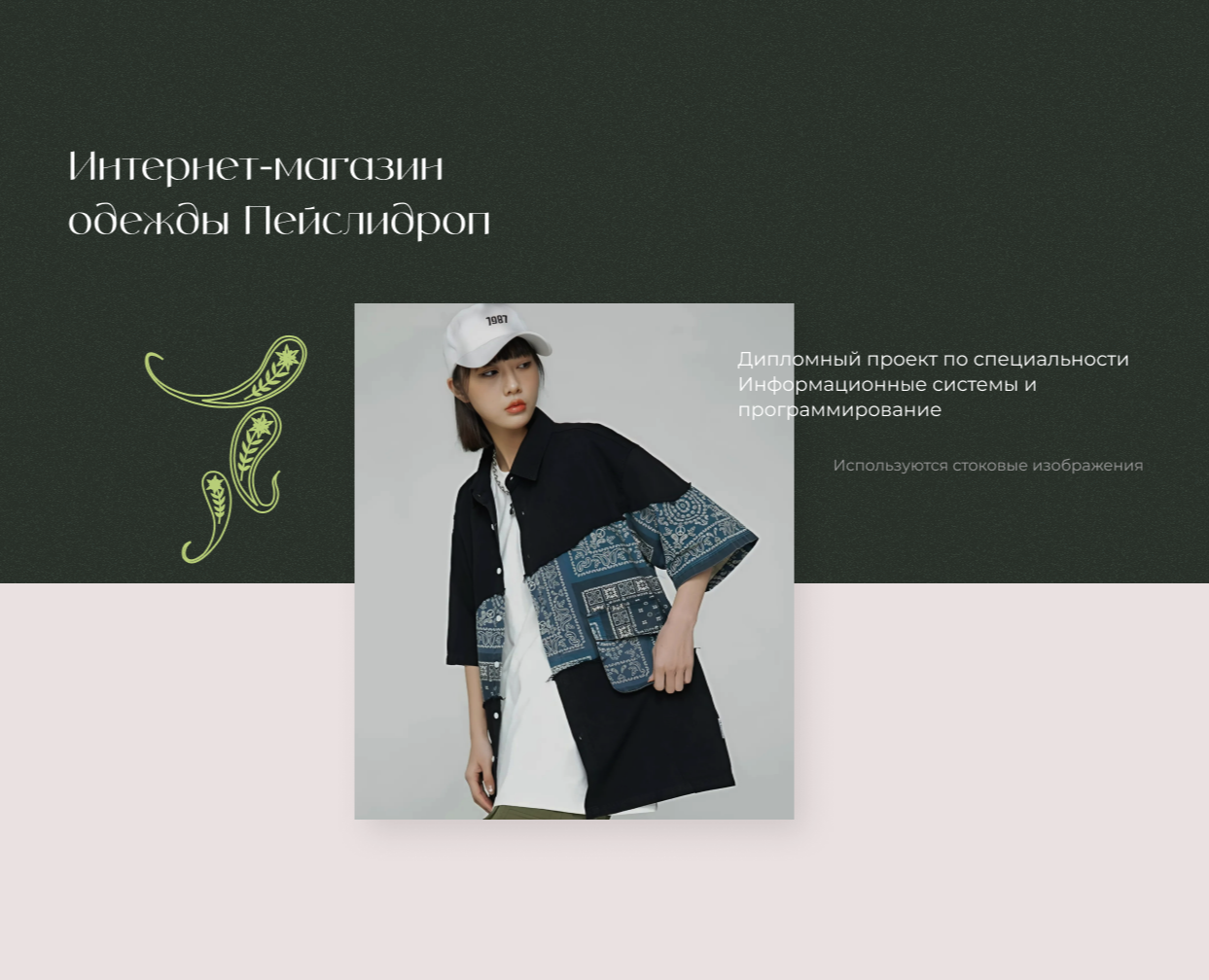 Магазин одежды Пейслидроп на Dprofile