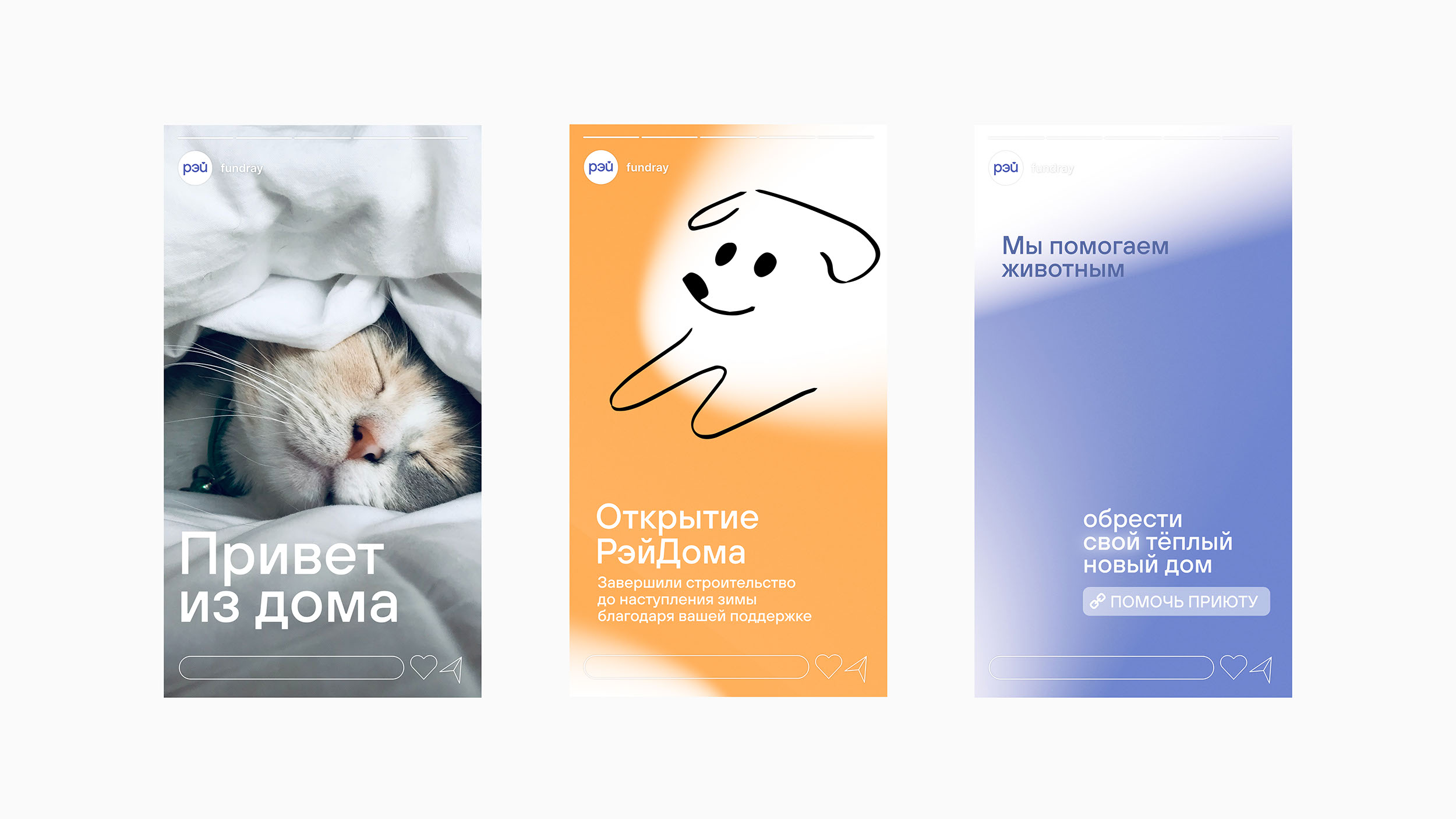 Дом для солнечных зайцев «Рэй» — Изображение №5 — Брендинг, Анимация на Dprofile
