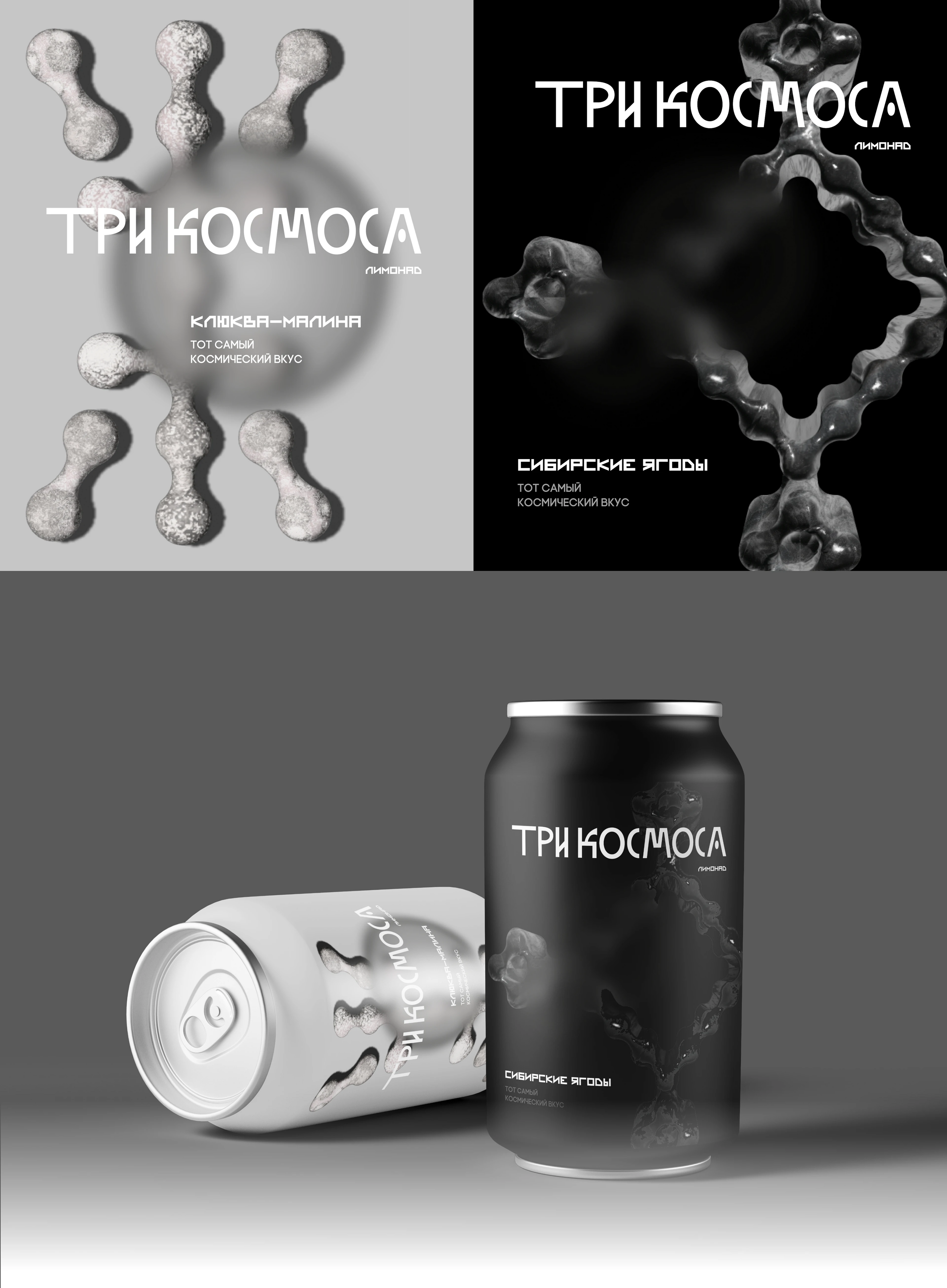 ТРИ КОСМОСА. НОВЫЙ СУВЕНИР — Изображение №13 — Брендинг, Графика на Dprofile